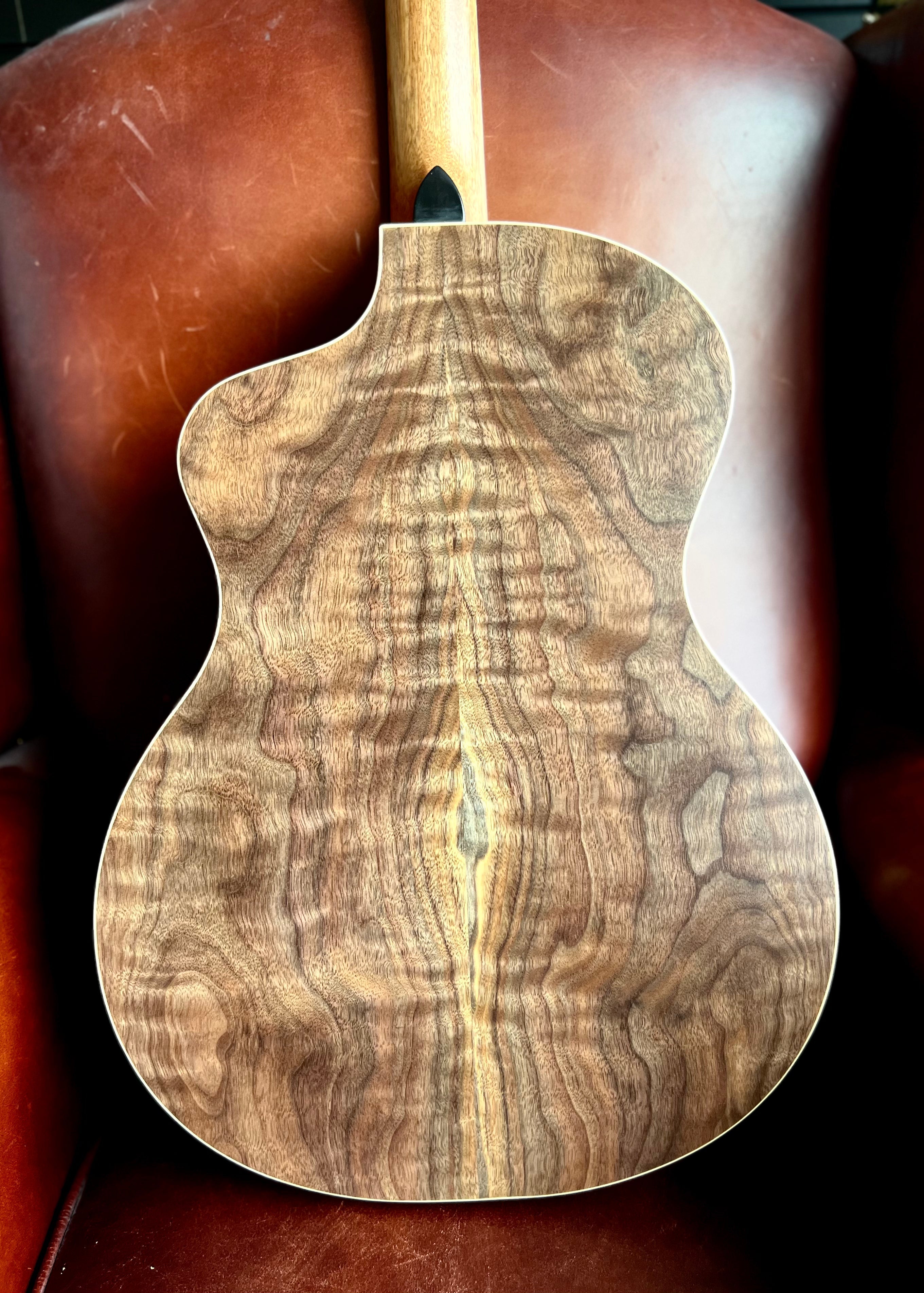 Dowina Walnut GAC Deluxe Torrified Swiss Moon Spruce, Acoustic Guitar for sale at Richards Guitars.