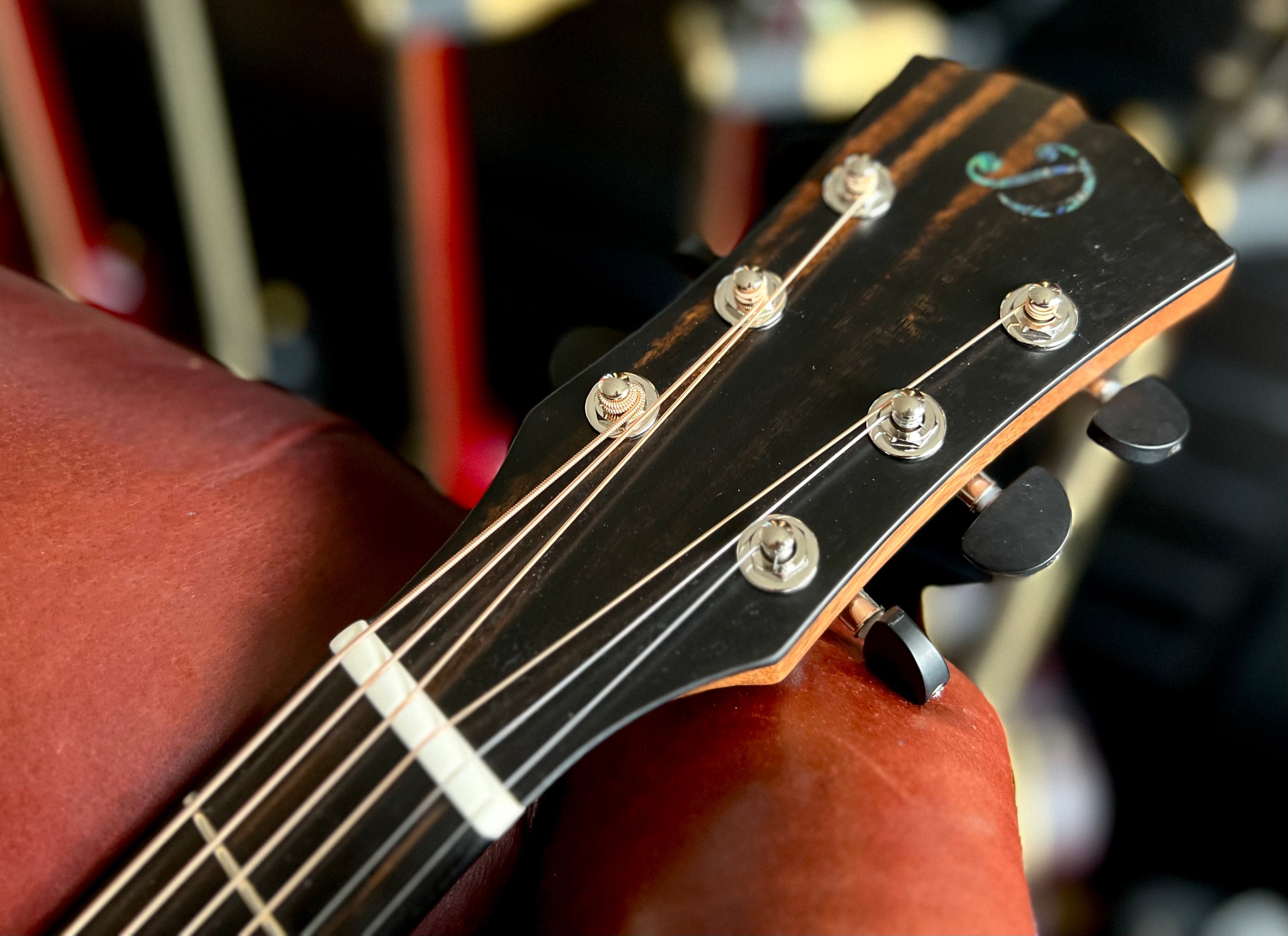 Dowina Walnut GAC Deluxe Torrified Swiss Moon Spruce, Acoustic Guitar for sale at Richards Guitars.