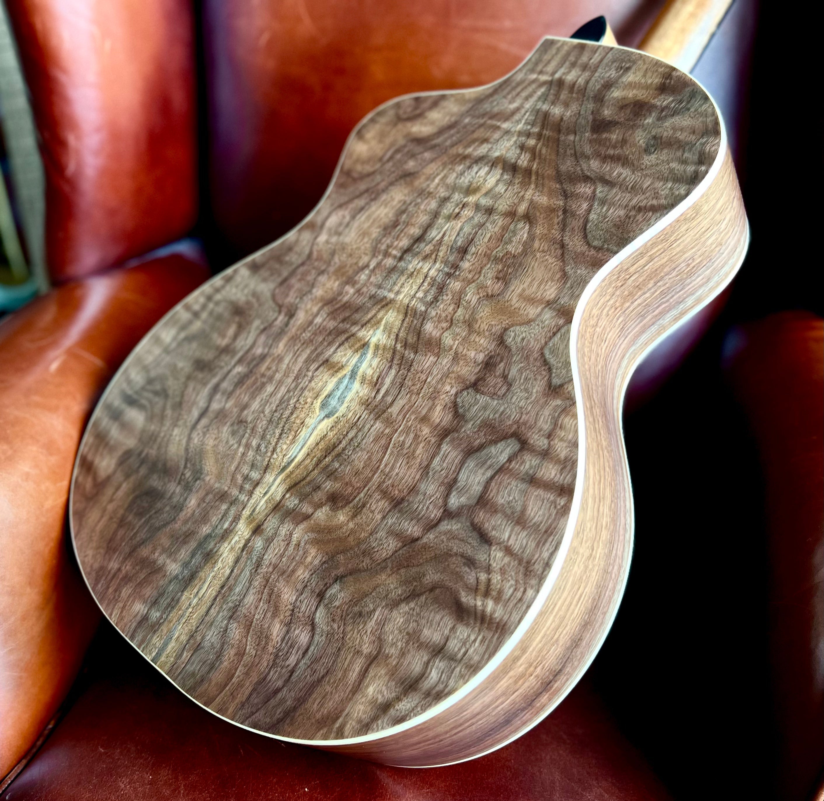 Dowina Walnut GAC Deluxe Torrified Swiss Moon Spruce, Acoustic Guitar for sale at Richards Guitars.