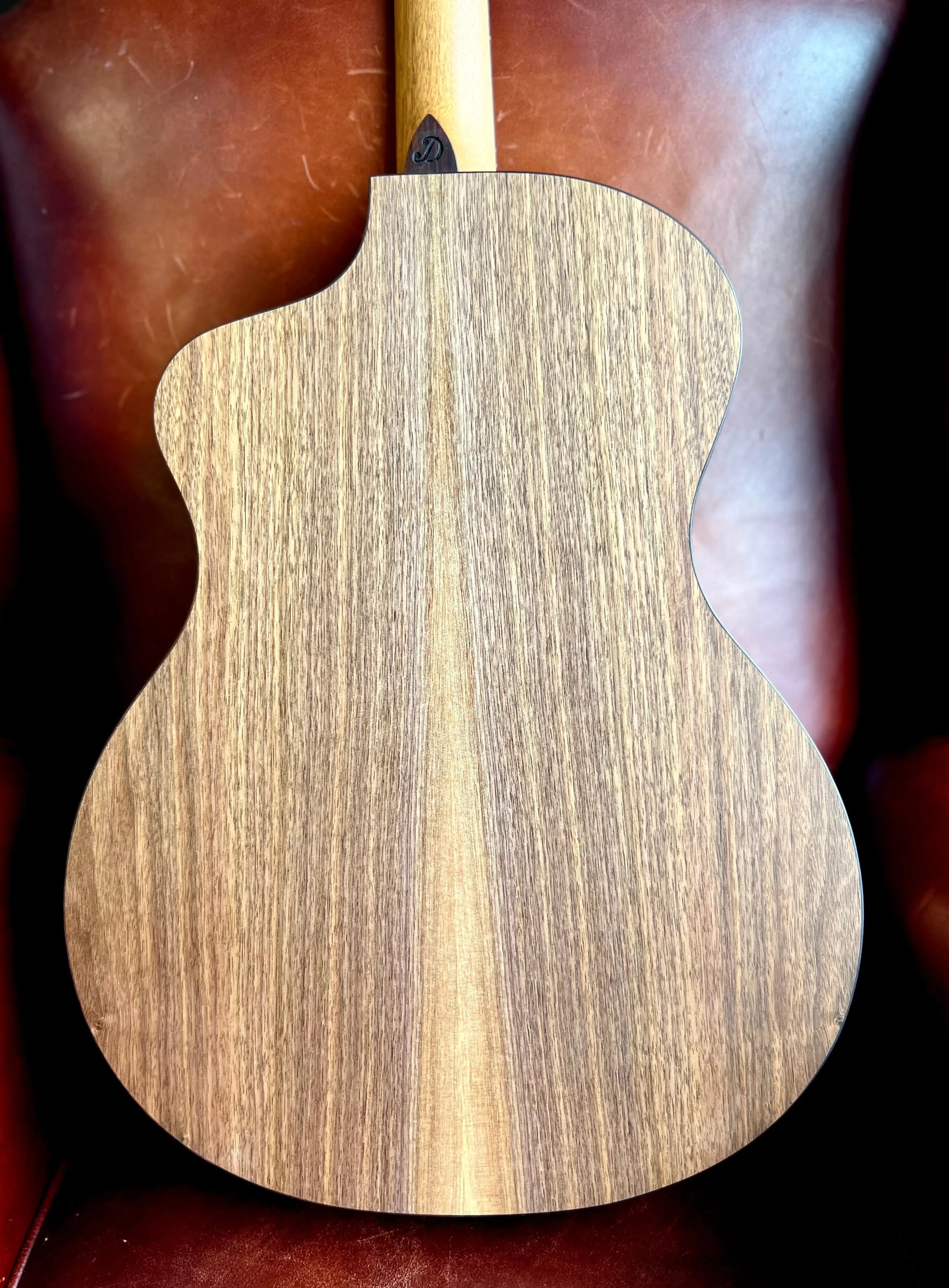 Dowina Walnut GAC Swiss Moon Spruce, Acoustic Guitar for sale at Richards Guitars.