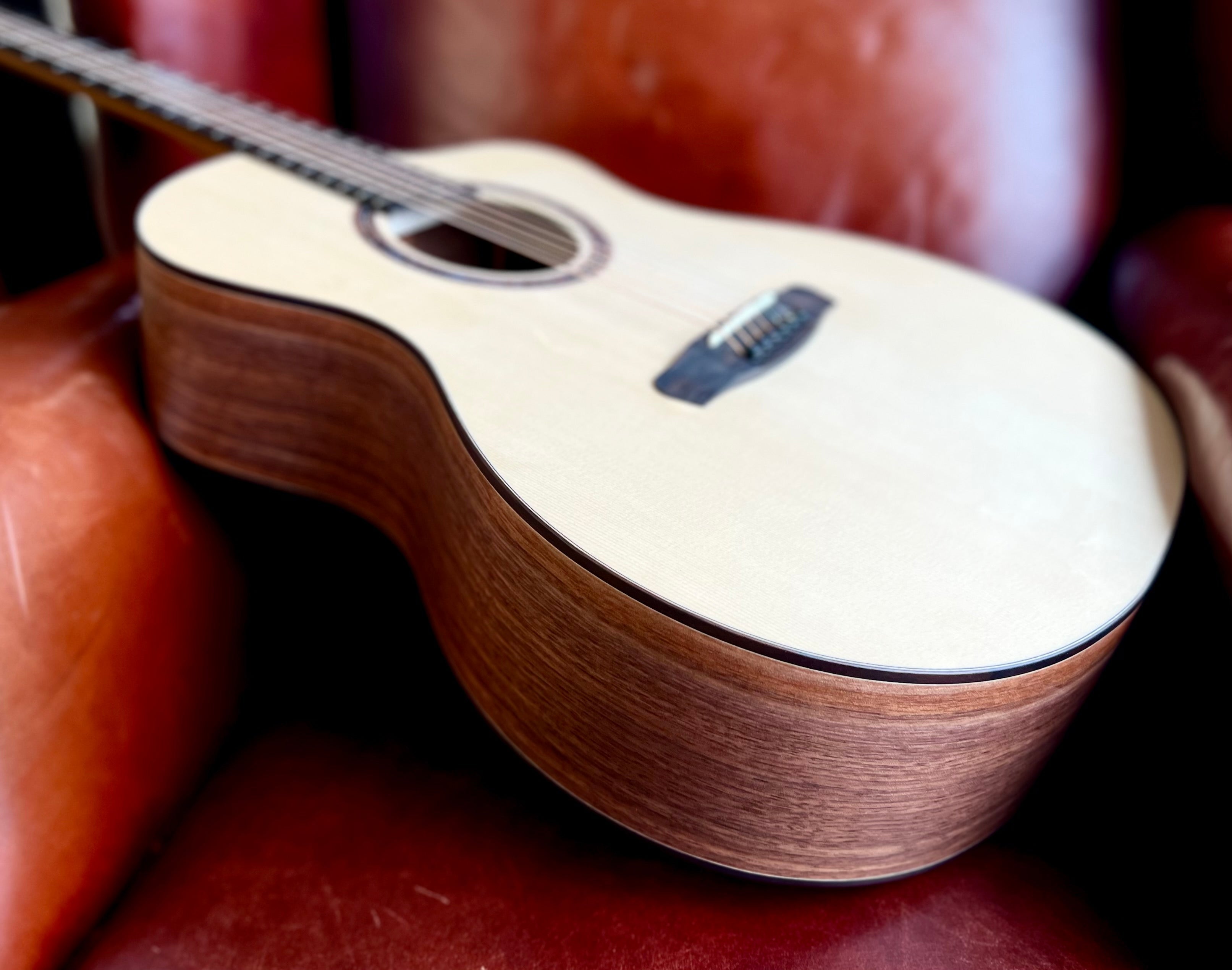 Dowina Walnut GAC Swiss Moon Spruce, Acoustic Guitar for sale at Richards Guitars.