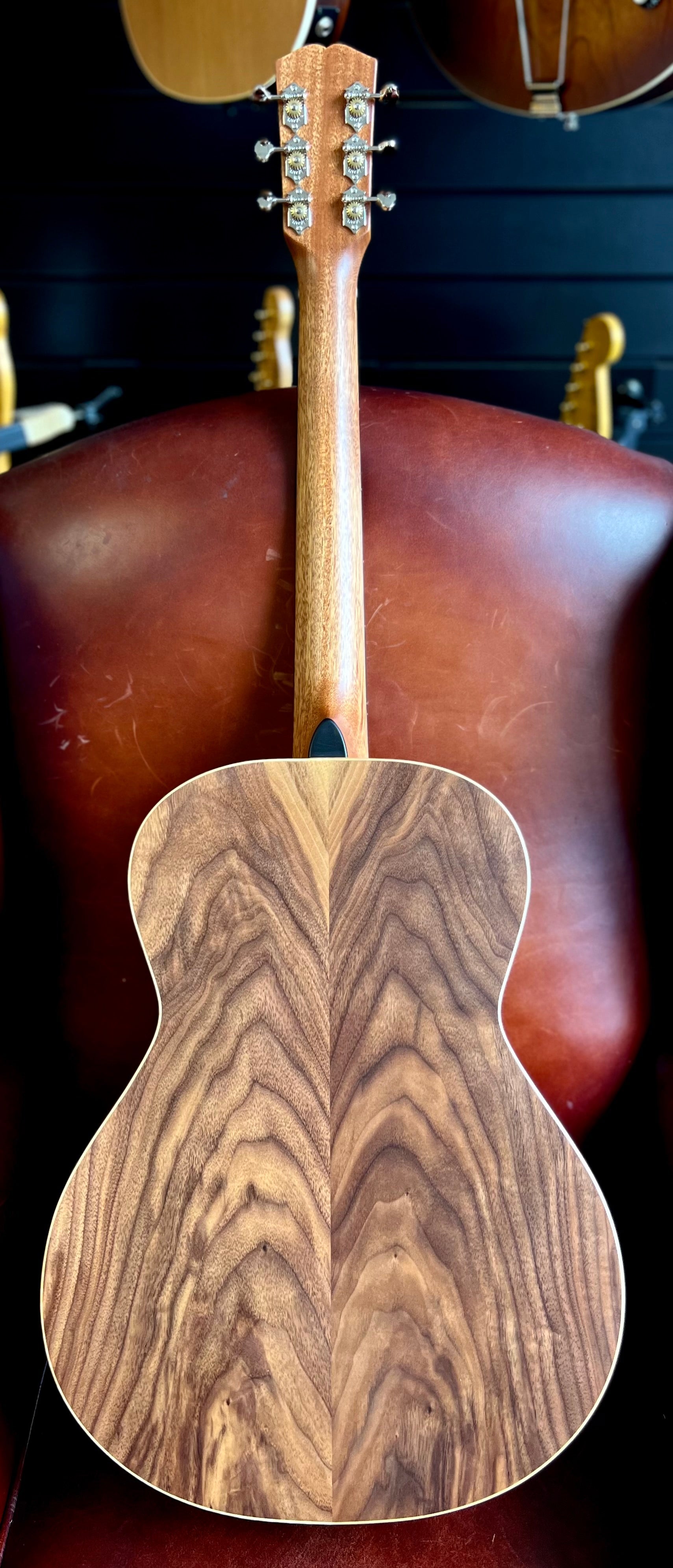 Dowina Walnut OMG Deluxe (Torrified Semi-Gloss Swiss Moon Spruce), Acoustic Guitar for sale at Richards Guitars.