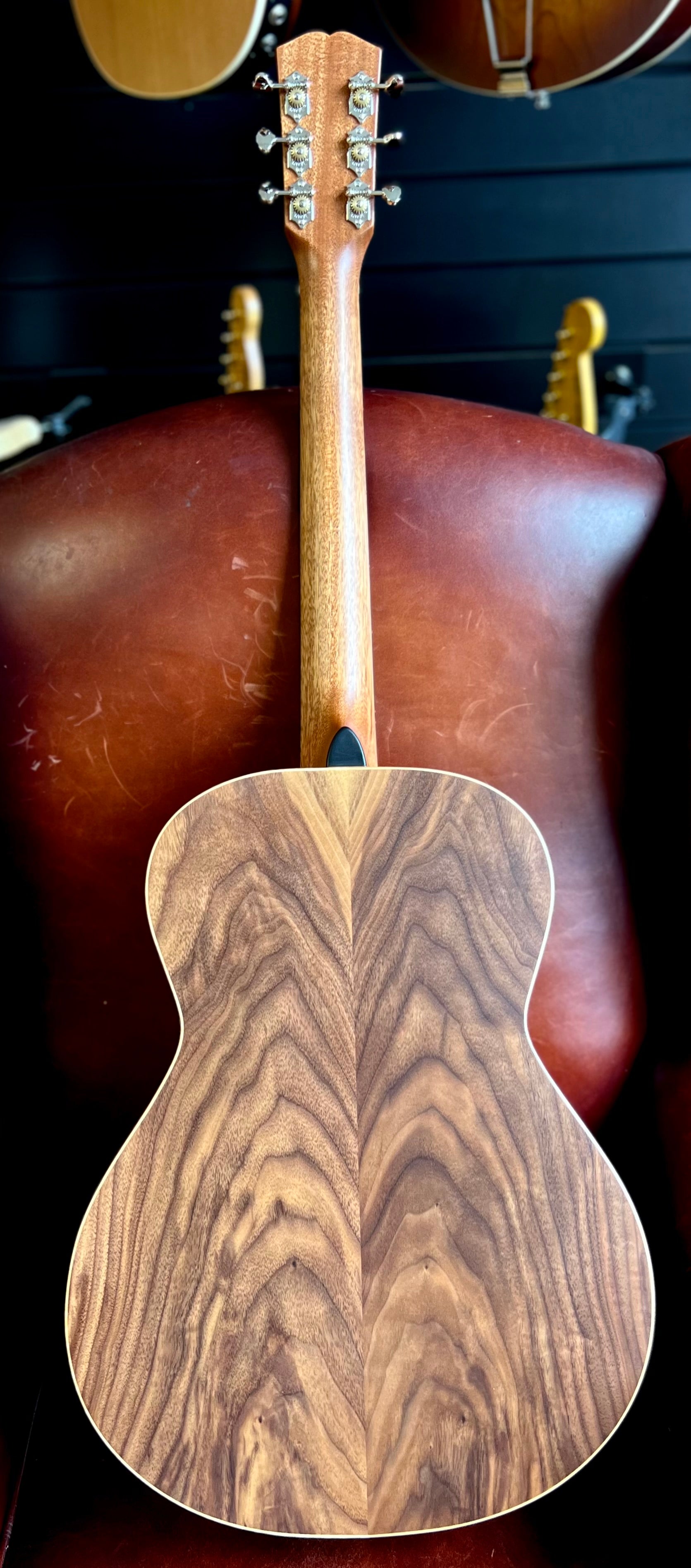 Dowina Walnut OMG Deluxe (Torrified Semi-Gloss Swiss Moon Spruce), Acoustic Guitar for sale at Richards Guitars.