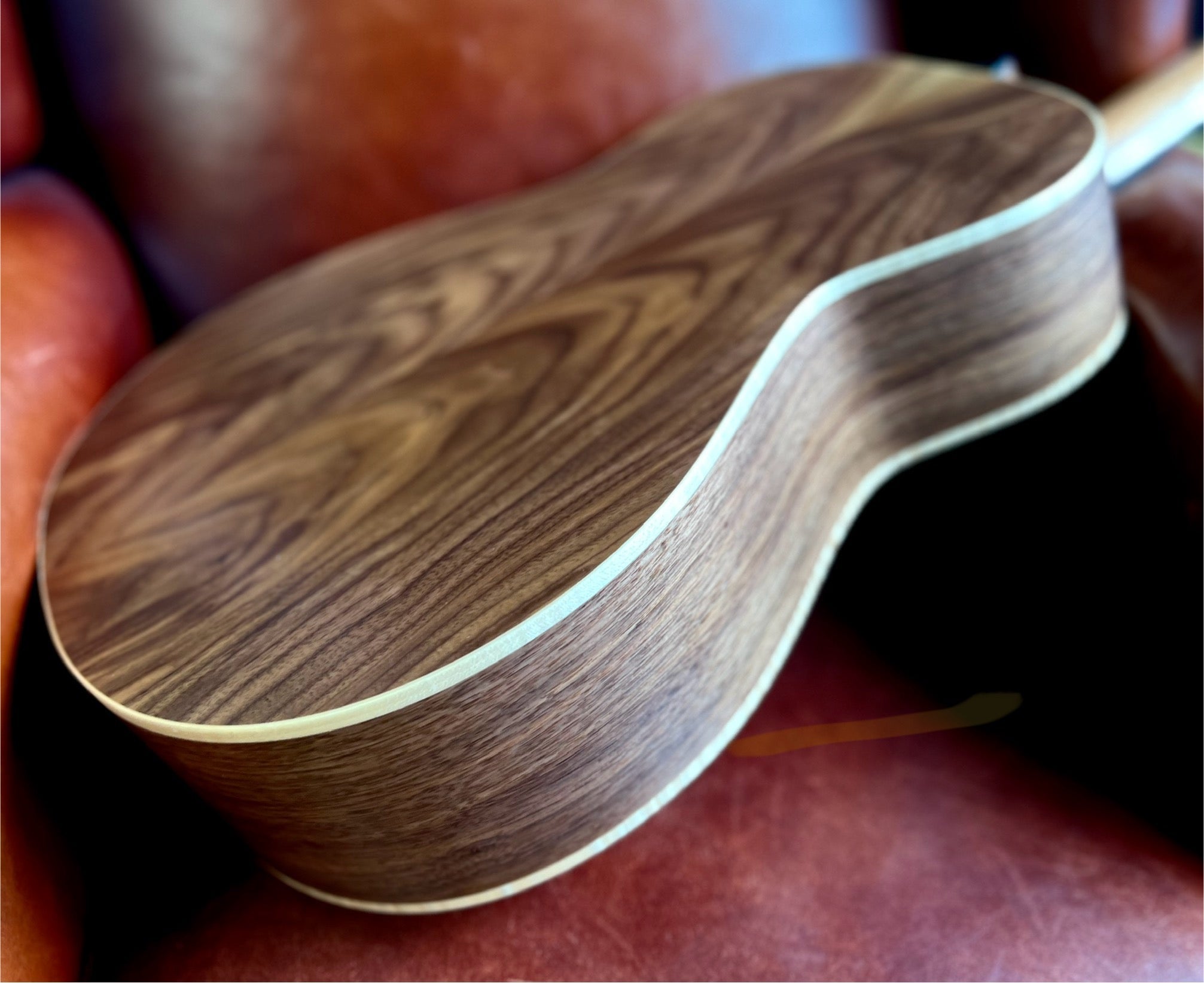 Dowina Walnut OMG Deluxe (Torrified Semi-Gloss Swiss Moon Spruce), Acoustic Guitar for sale at Richards Guitars.