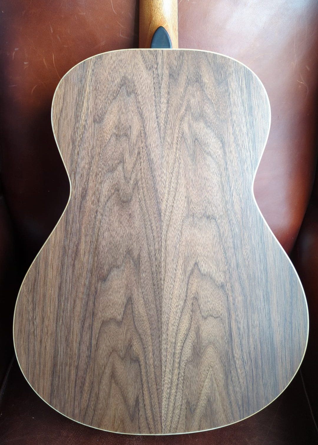 Dowina Walnut OMG Deluxe (Torrified Semi-Gloss Swiss Moon Spruce), Acoustic Guitar for sale at Richards Guitars.