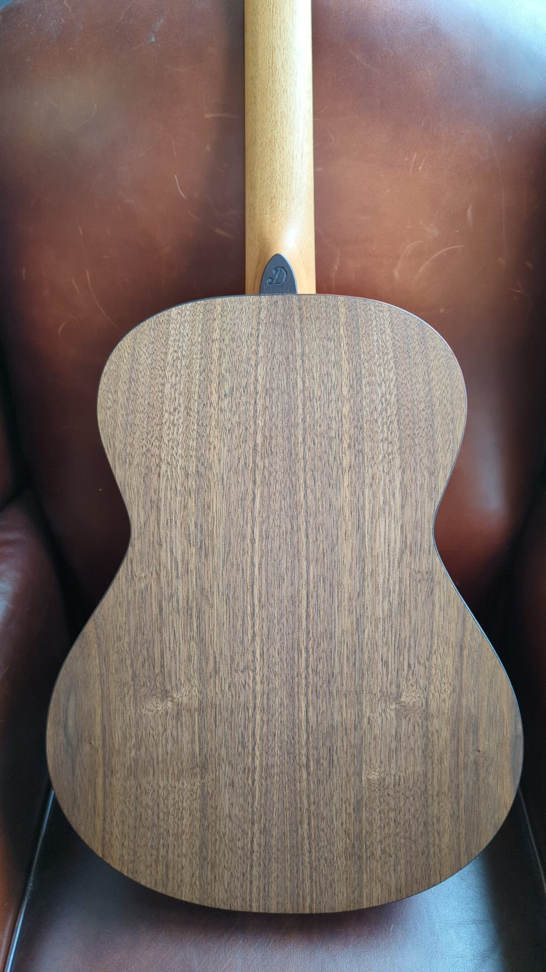 Dowina Walnut OMG-H Cedar.  OM Body Nylon Hybrid Acoustic Guitar, Nylon Strung Guitar for sale at Richards Guitars.