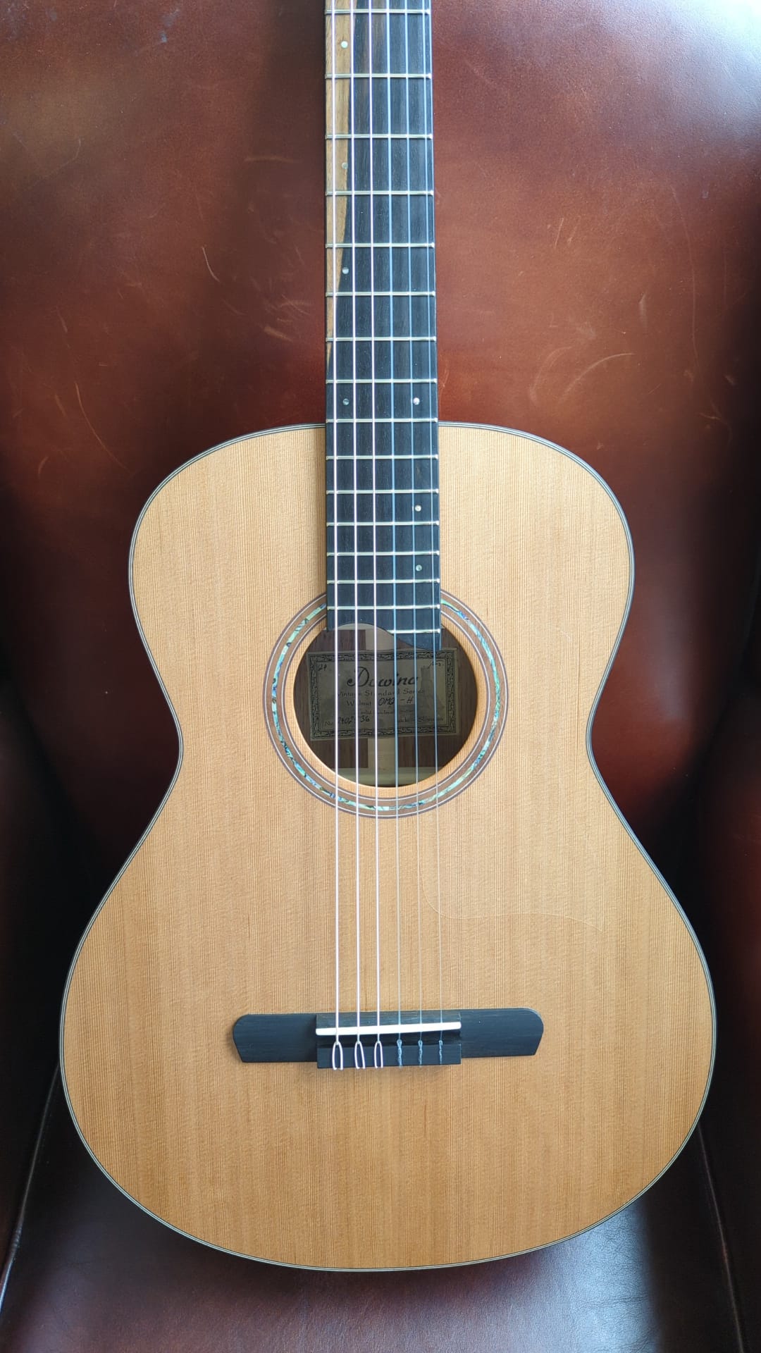 Dowina Walnut OMG-H Cedar.  OM Body Nylon Hybrid Acoustic Guitar, Nylon Strung Guitar for sale at Richards Guitars.