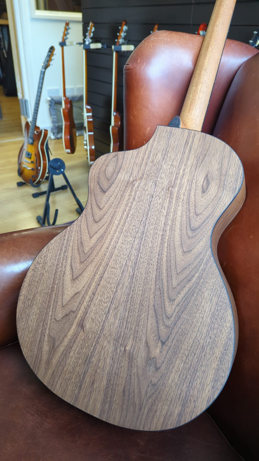 Dowina Walnut (Sol) GAC, Acoustic Guitar for sale at Richards Guitars.