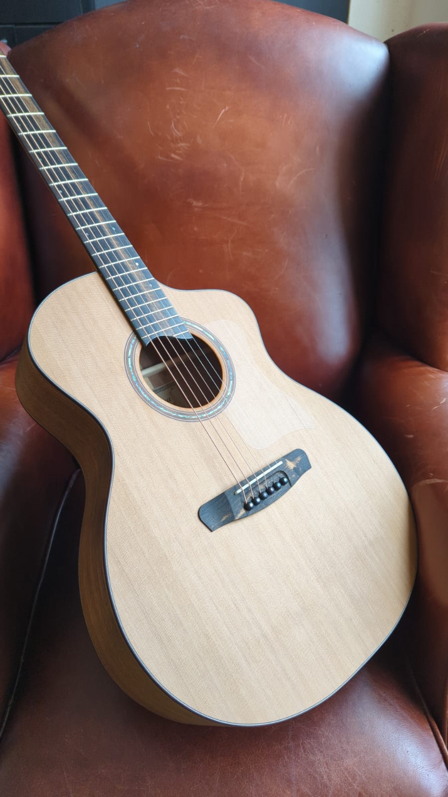 Dowina Walnut (Sol) GAC, Acoustic Guitar for sale at Richards Guitars.