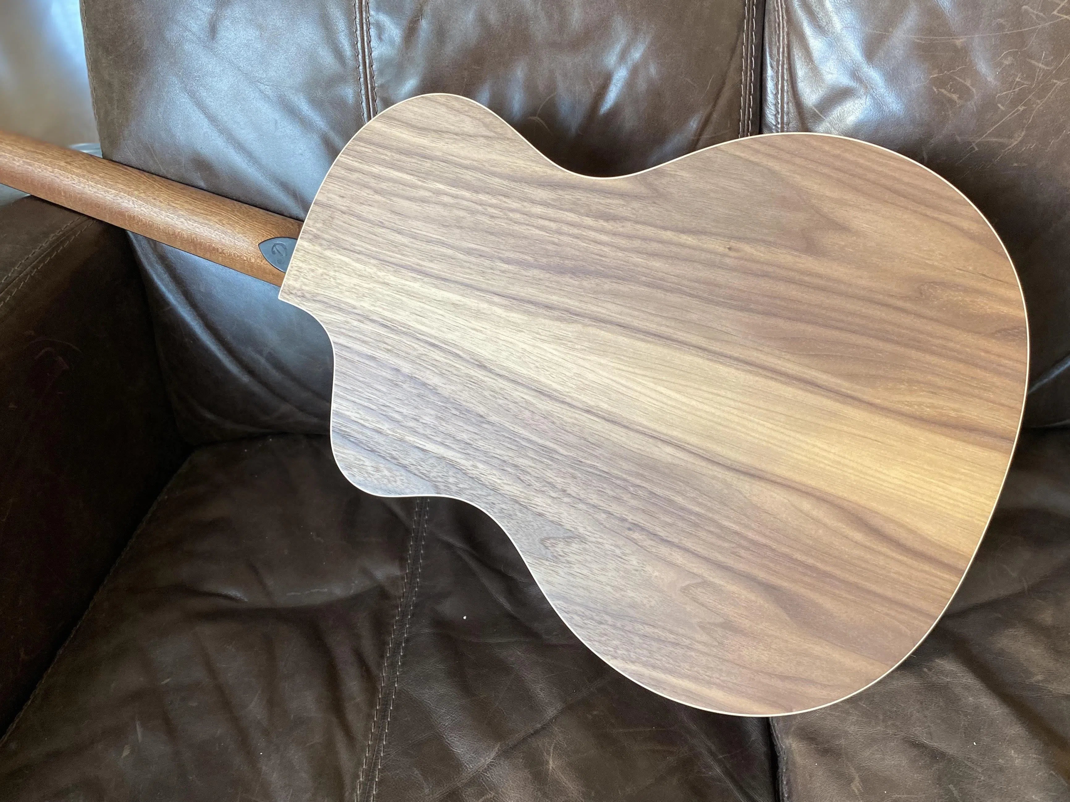 Dowina Walnut (Sol) GAC, Acoustic Guitar for sale at Richards Guitars.