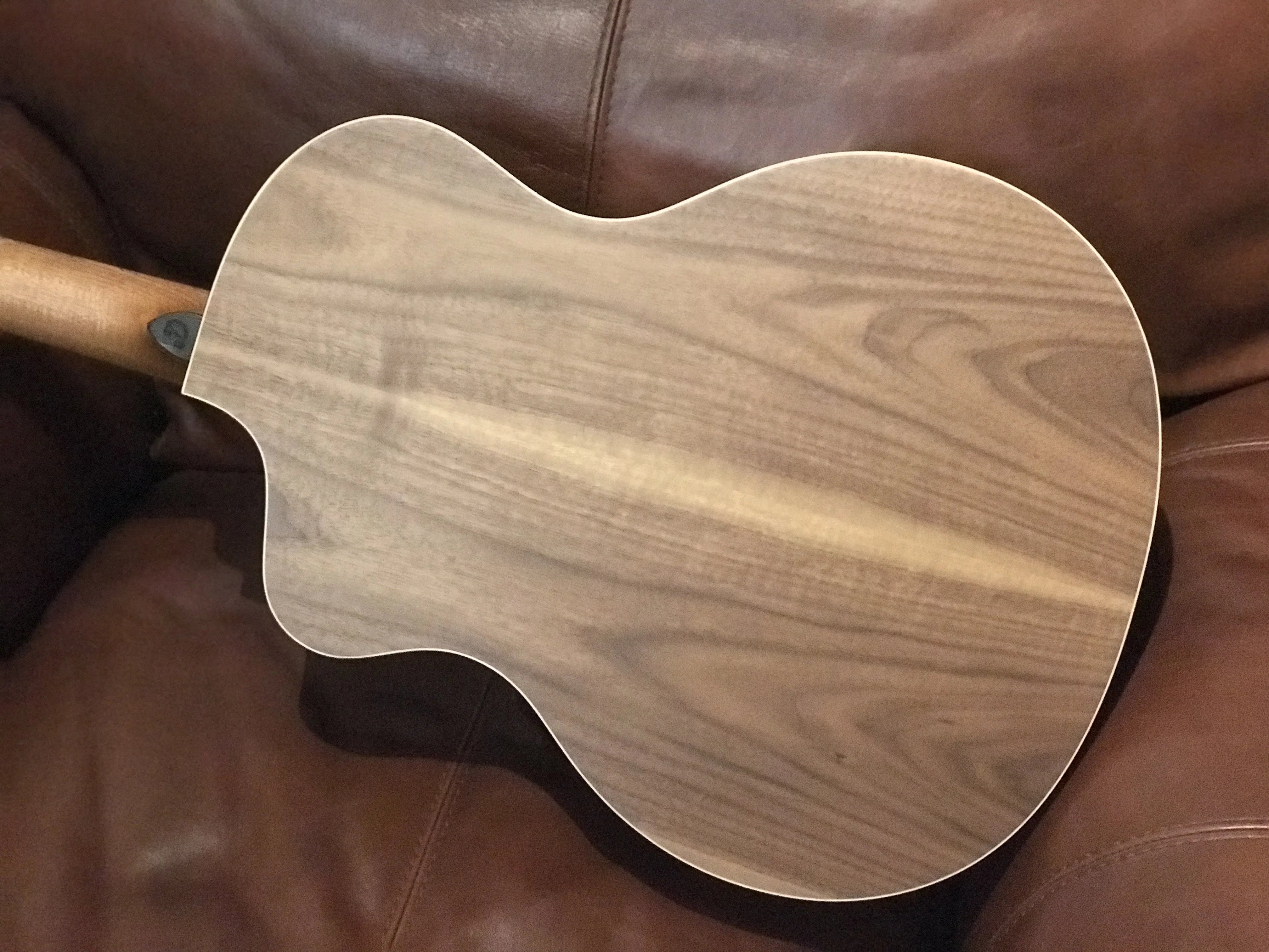 Dowina Walnut (Sol) GAC DS, Acoustic Guitar for sale at Richards Guitars.