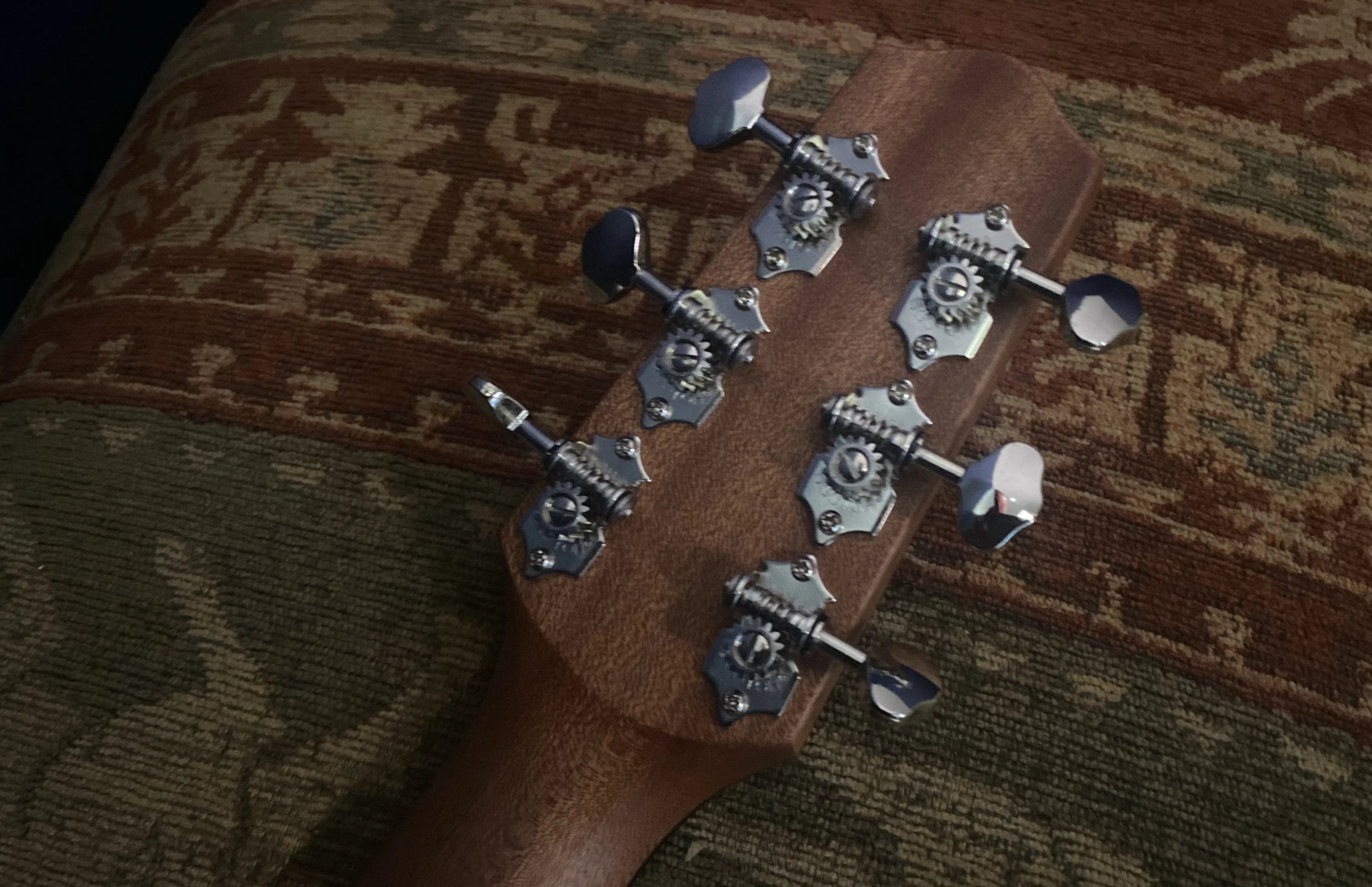 Dowina Walnut Tribute BV, Acoustic Guitar for sale at Richards Guitars.