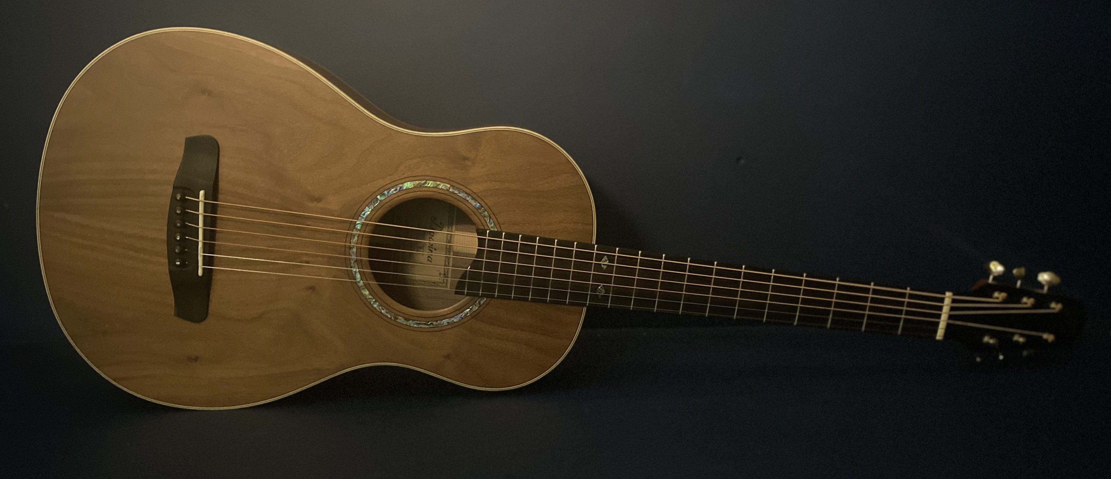 Dowina Walnut Tribute BV, Acoustic Guitar for sale at Richards Guitars.