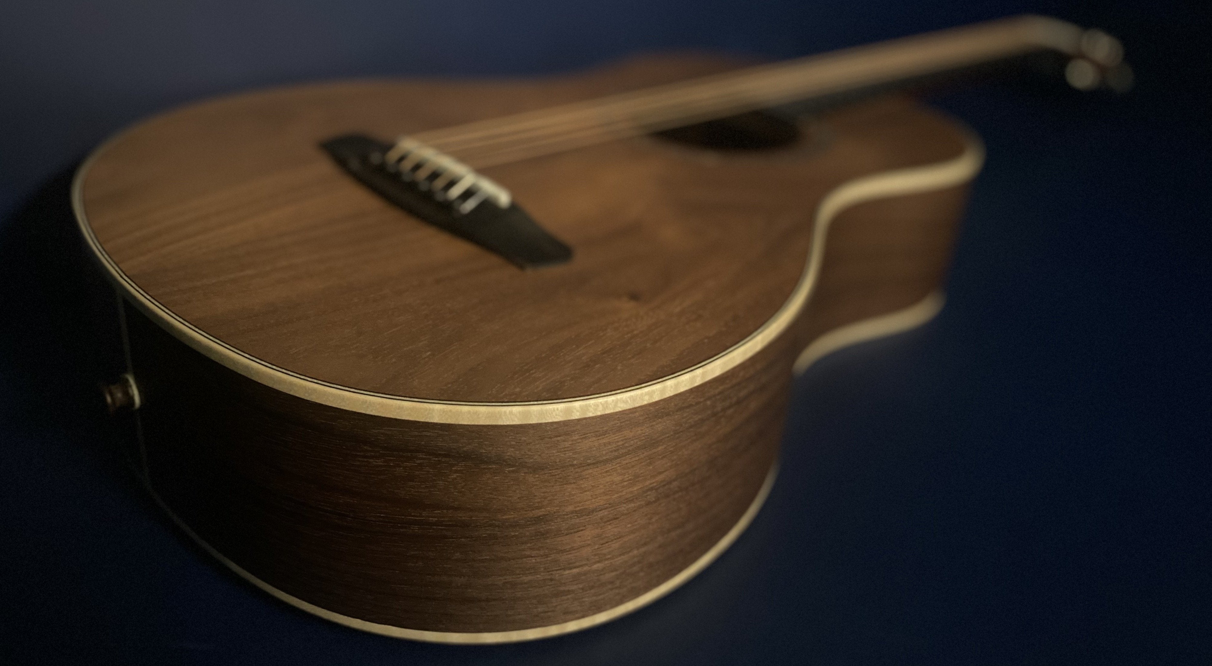 Dowina Walnut Tribute BV, Acoustic Guitar for sale at Richards Guitars.