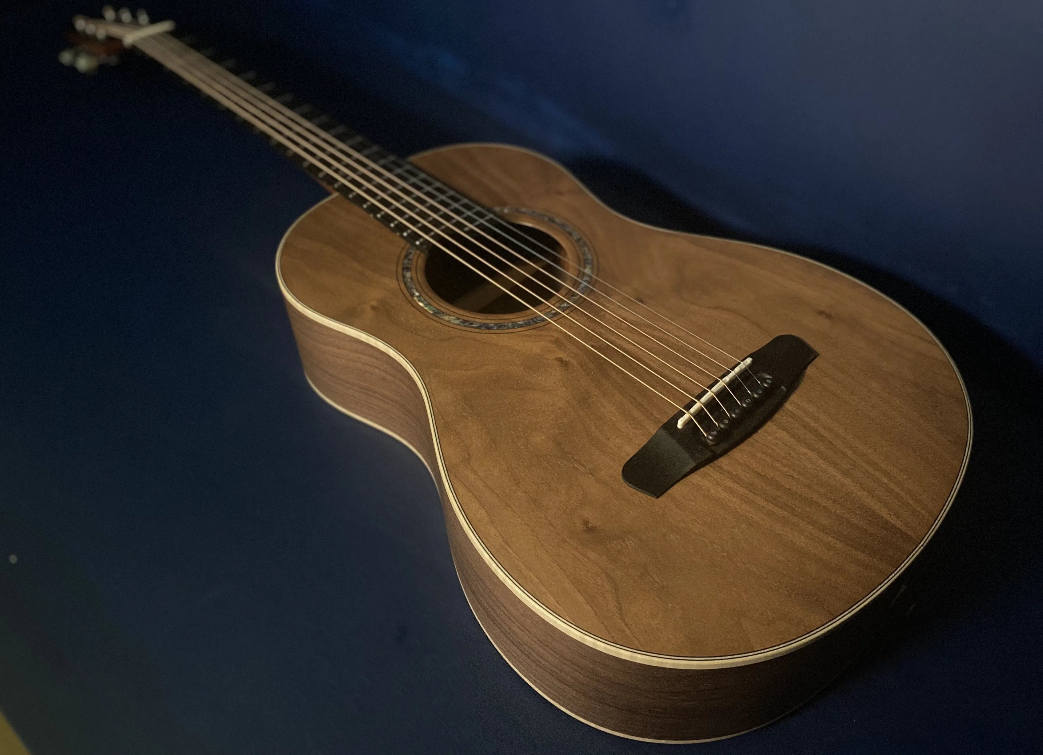 Dowina Walnut Tribute BV, Acoustic Guitar for sale at Richards Guitars.