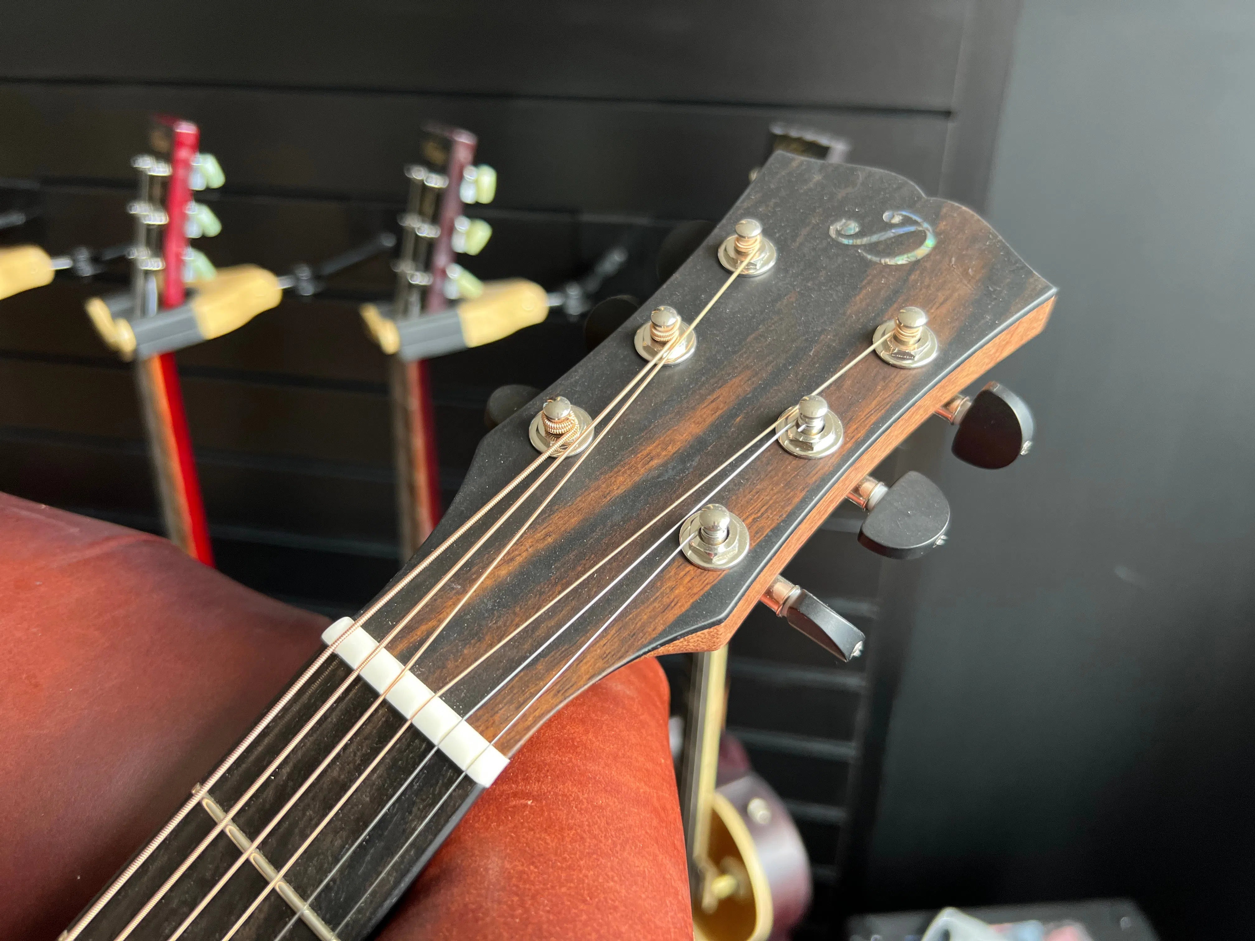 Dowina Walnut Tribute DLX GAC, Acoustic Guitar for sale at Richards Guitars.