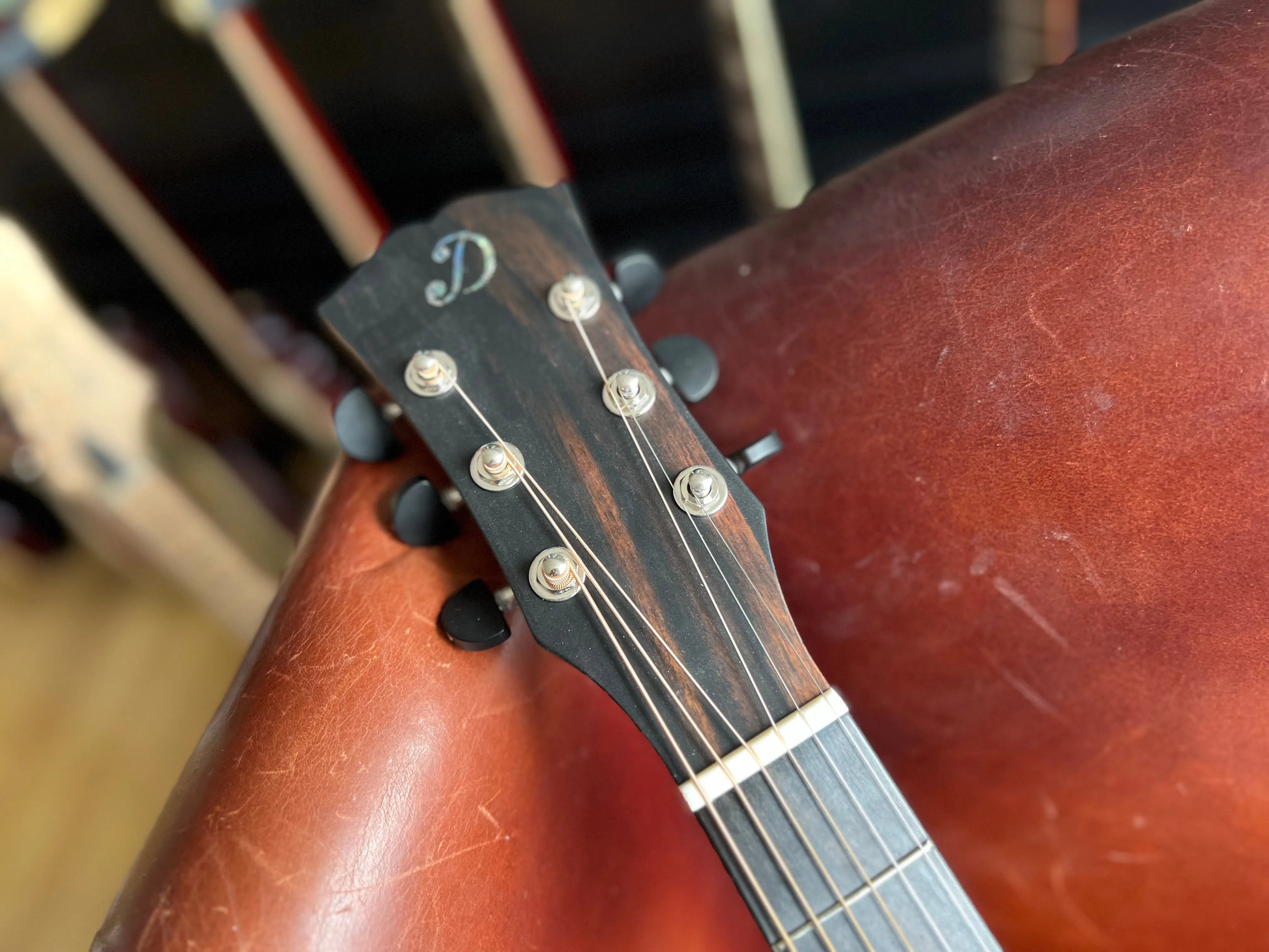 Dowina Walnut Tribute DLX GAC, Acoustic Guitar for sale at Richards Guitars.