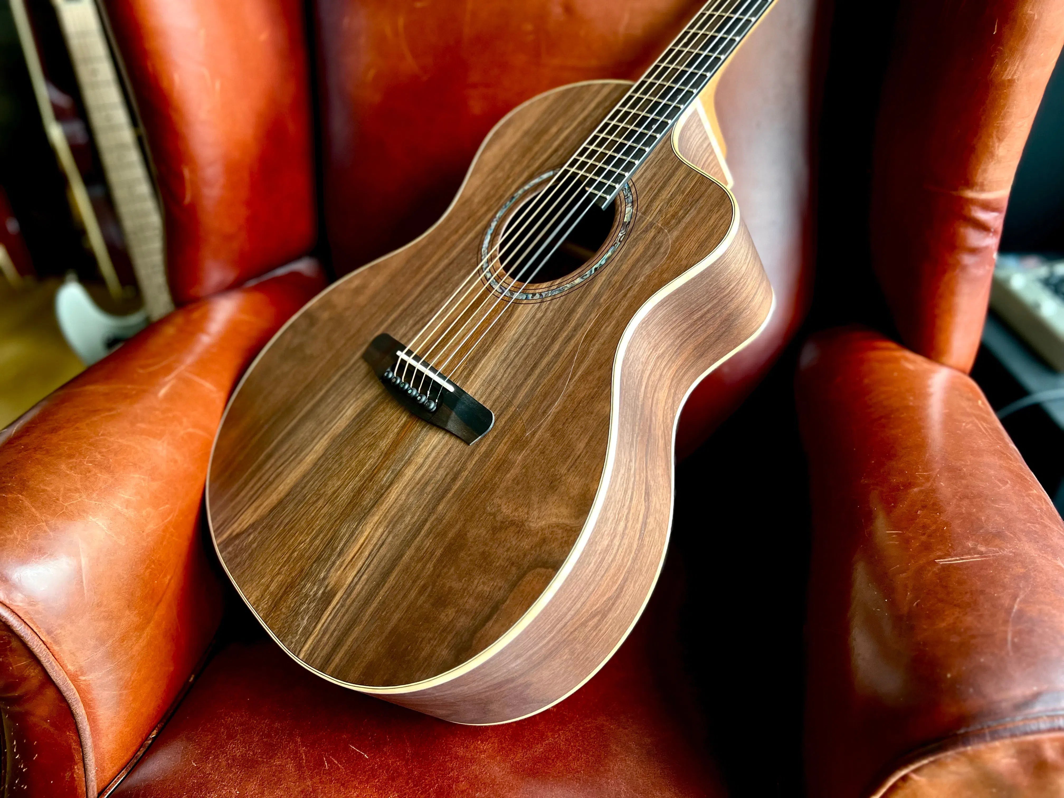 Dowina Walnut Tribute DLX GAC, Acoustic Guitar for sale at Richards Guitars.