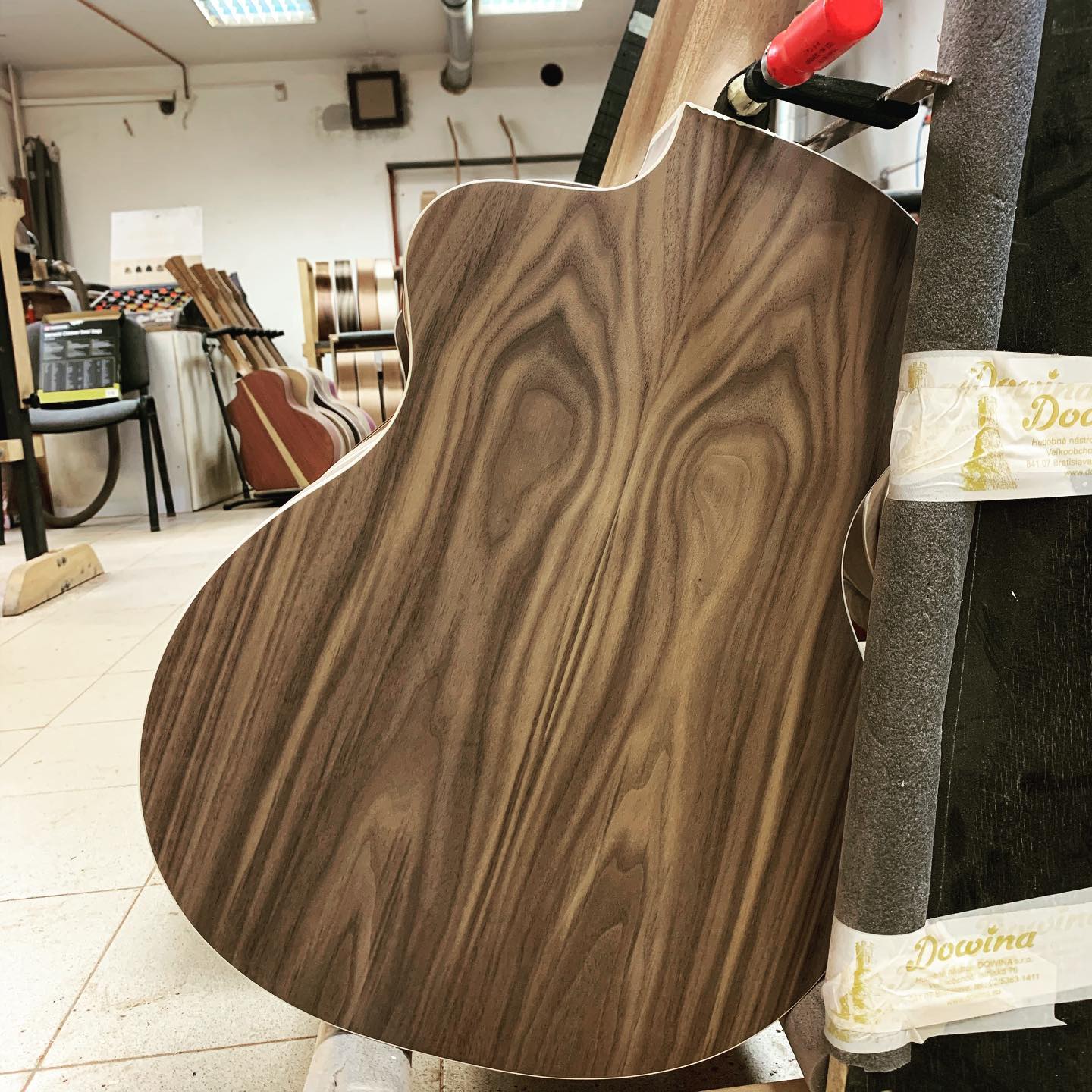 Dowina Walnut Tribute DLX GAC, Acoustic Guitar for sale at Richards Guitars.