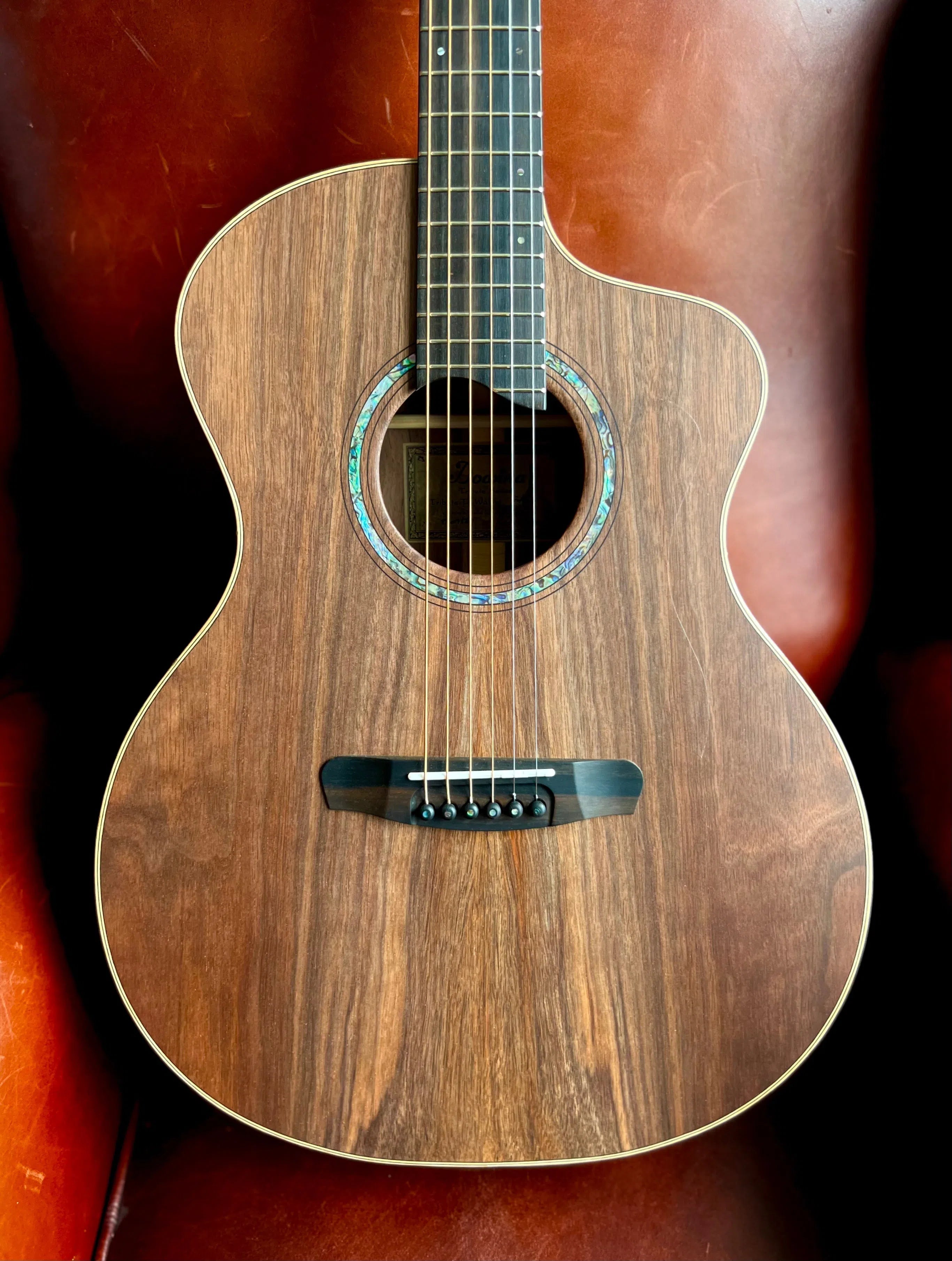 Dowina Walnut Tribute DLX GAC, Acoustic Guitar for sale at Richards Guitars.