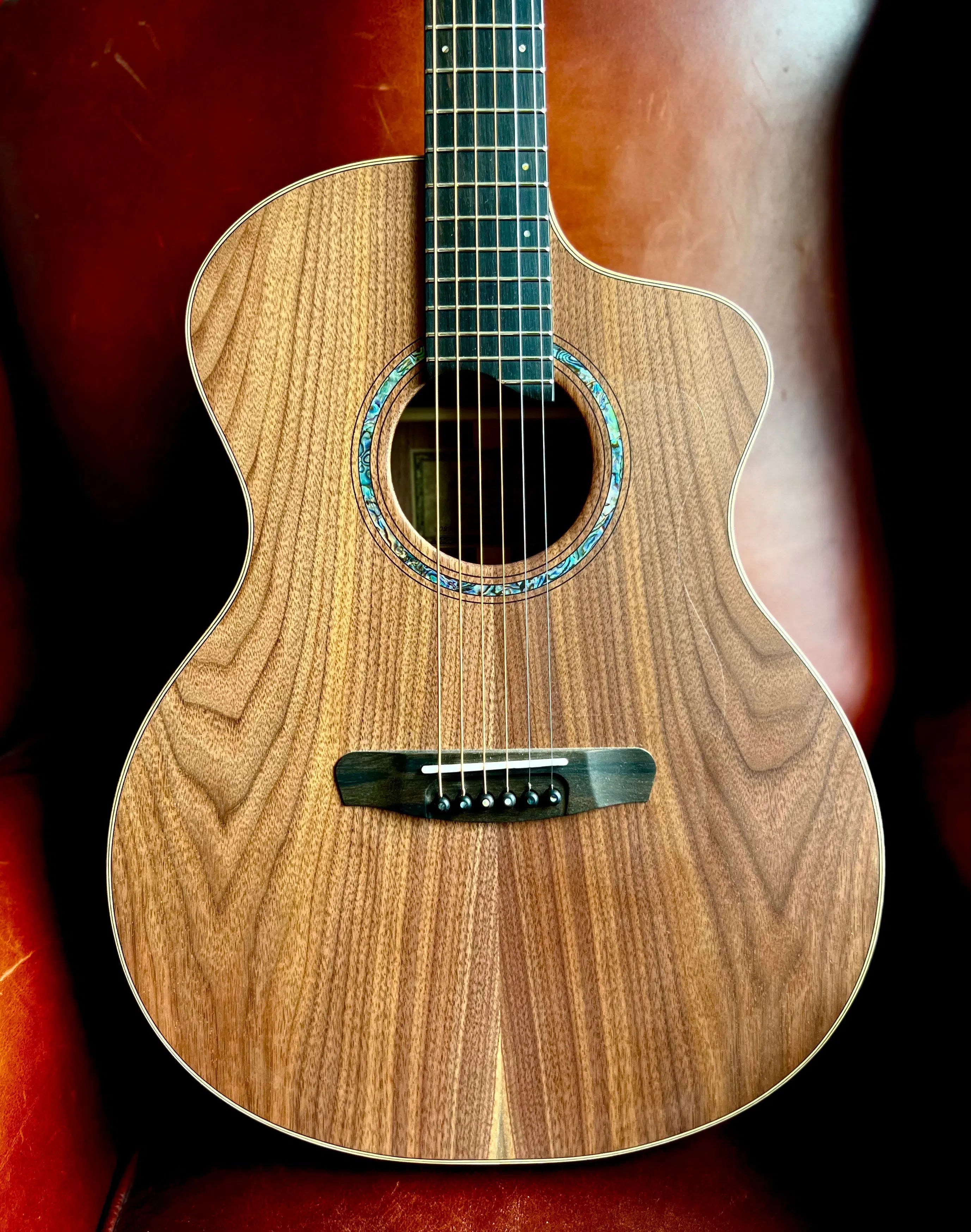 Dowina Walnut Tribute DLX GAC, Acoustic Guitar for sale at Richards Guitars.