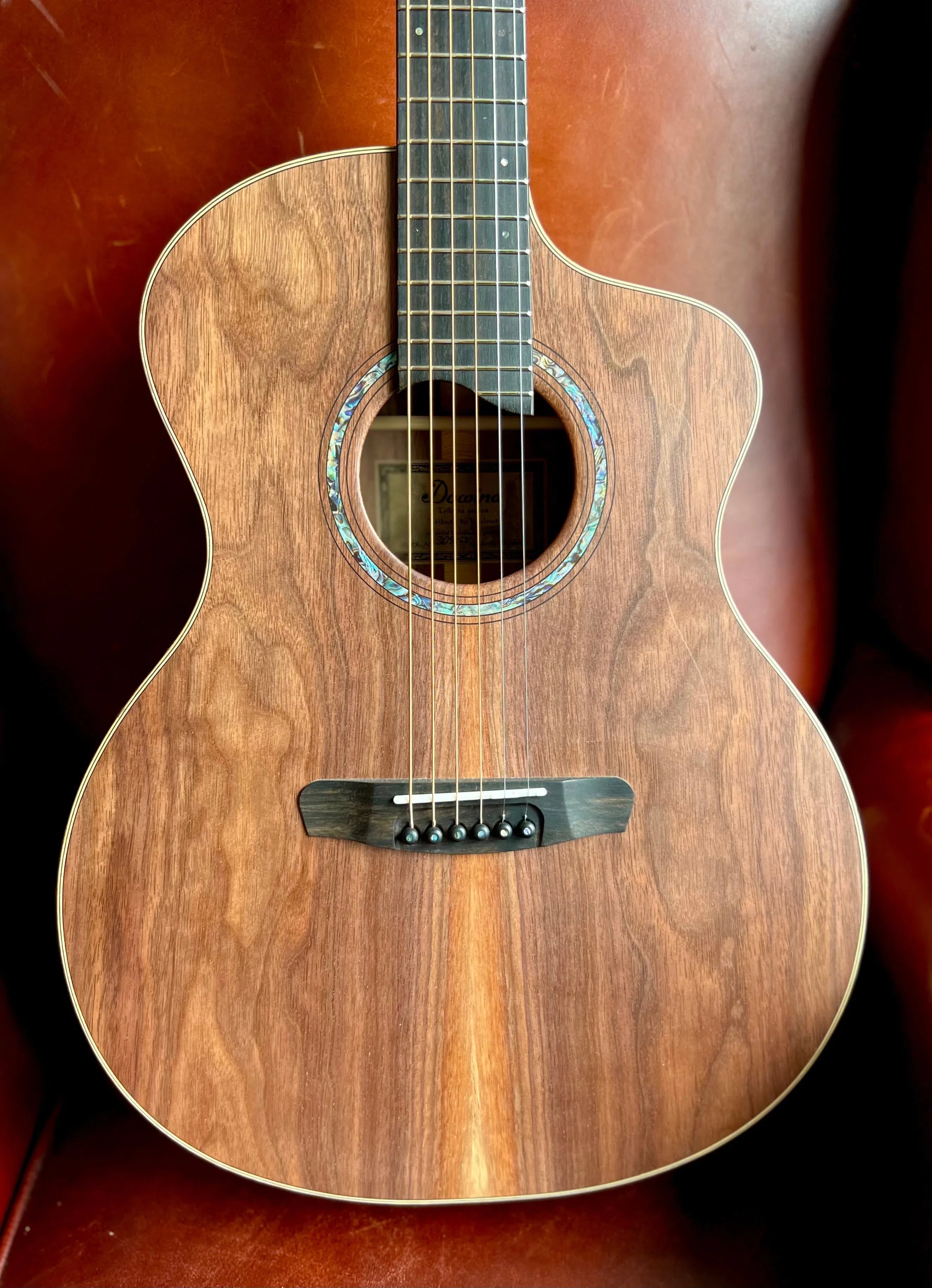 Dowina Walnut Tribute DLX GAC, Acoustic Guitar for sale at Richards Guitars.