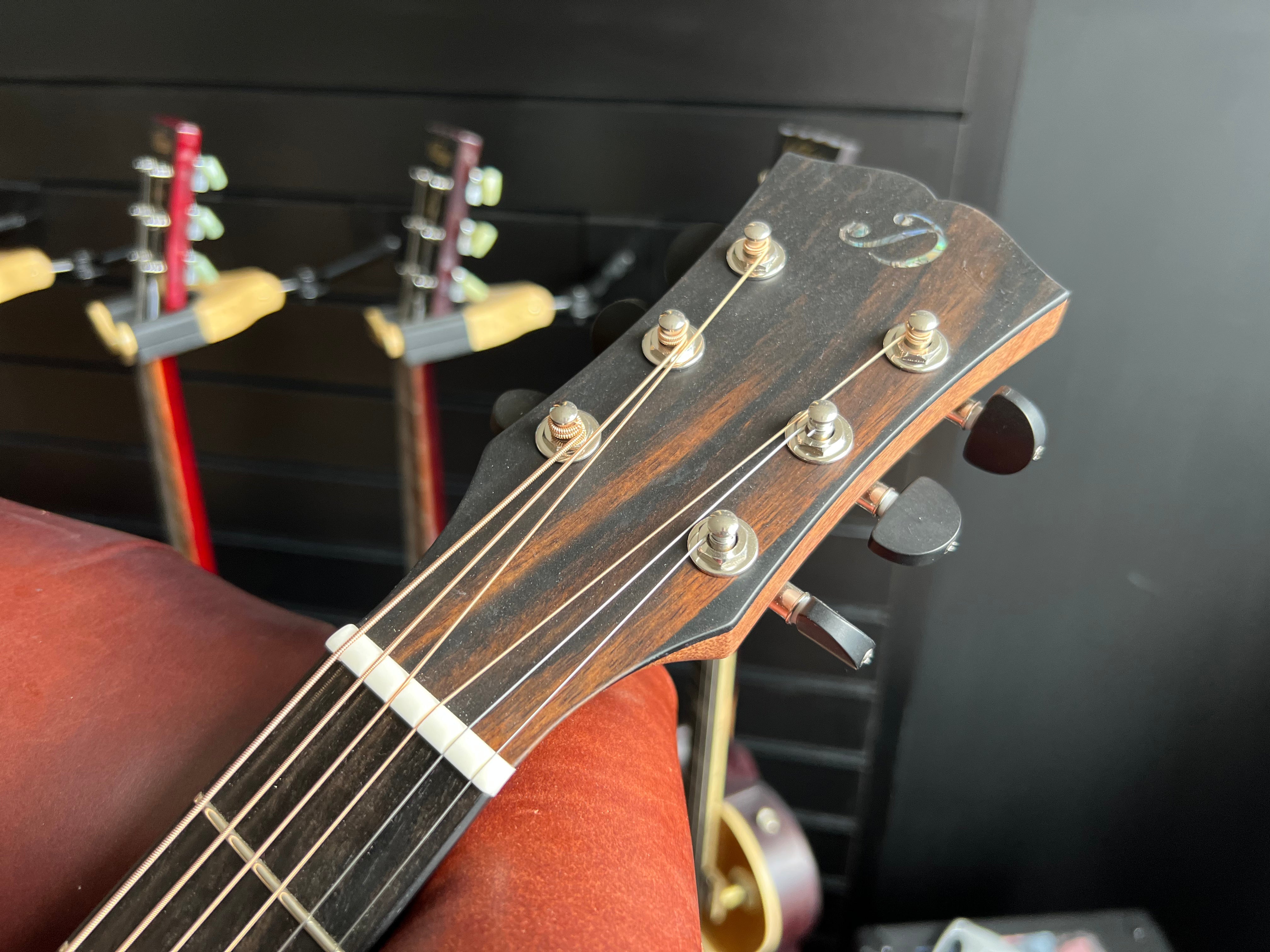 Dowina Walnut Tribute GAC, Acoustic Guitar for sale at Richards Guitars.