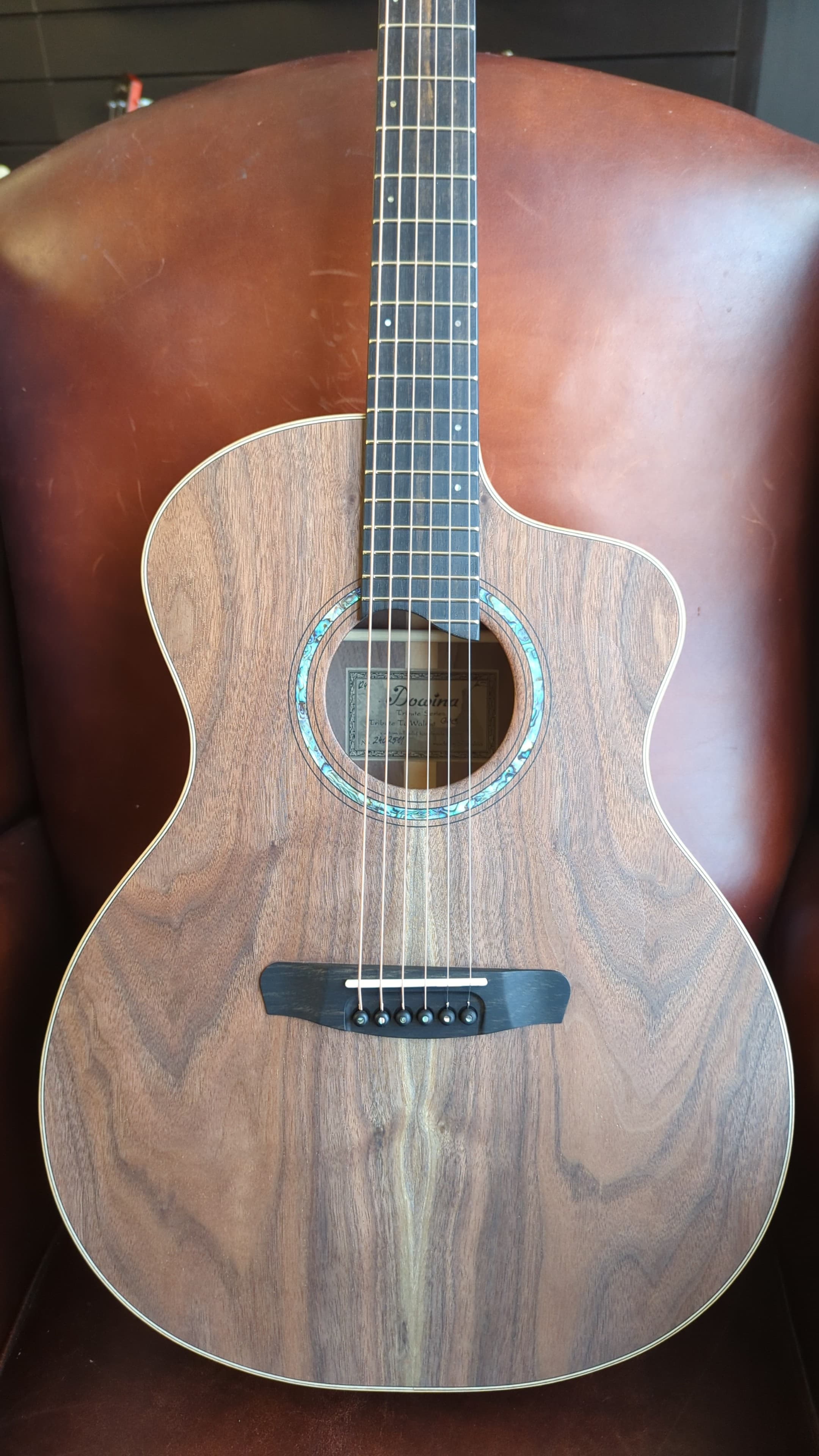 Dowina Walnut Tribute GAC, Acoustic Guitar for sale at Richards Guitars.