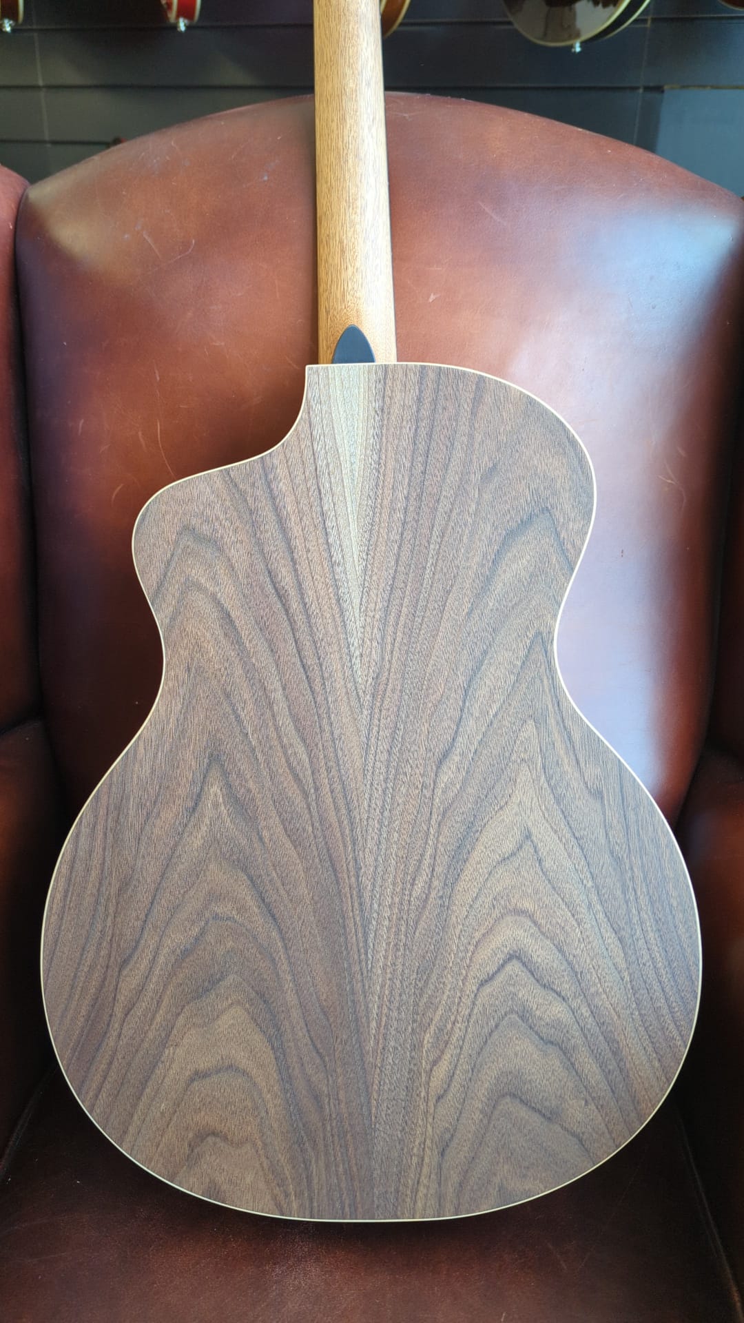 Dowina Walnut Tribute GAC, Acoustic Guitar for sale at Richards Guitars.