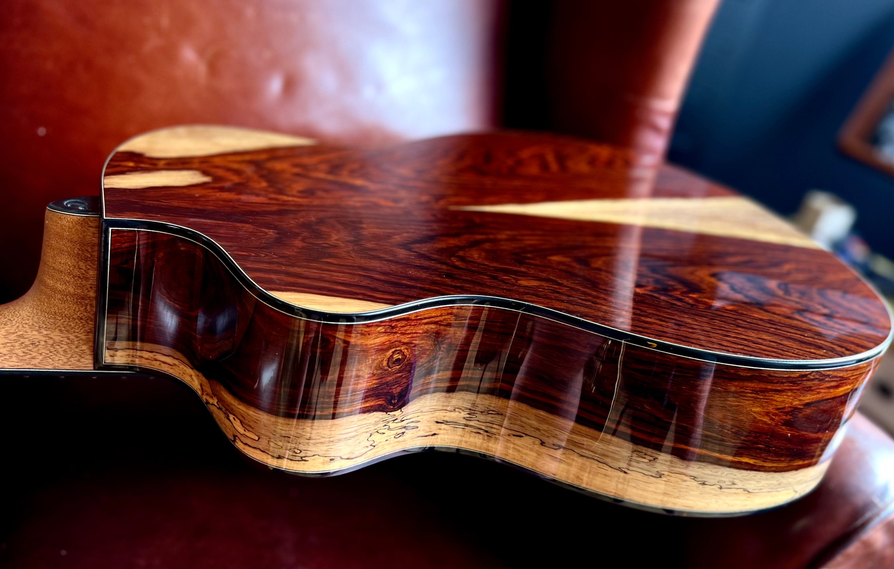 Dowina Masters Gallery Edition Cocobolo GAC SWS, Acoustic Guitar for sale at Richards Guitars.