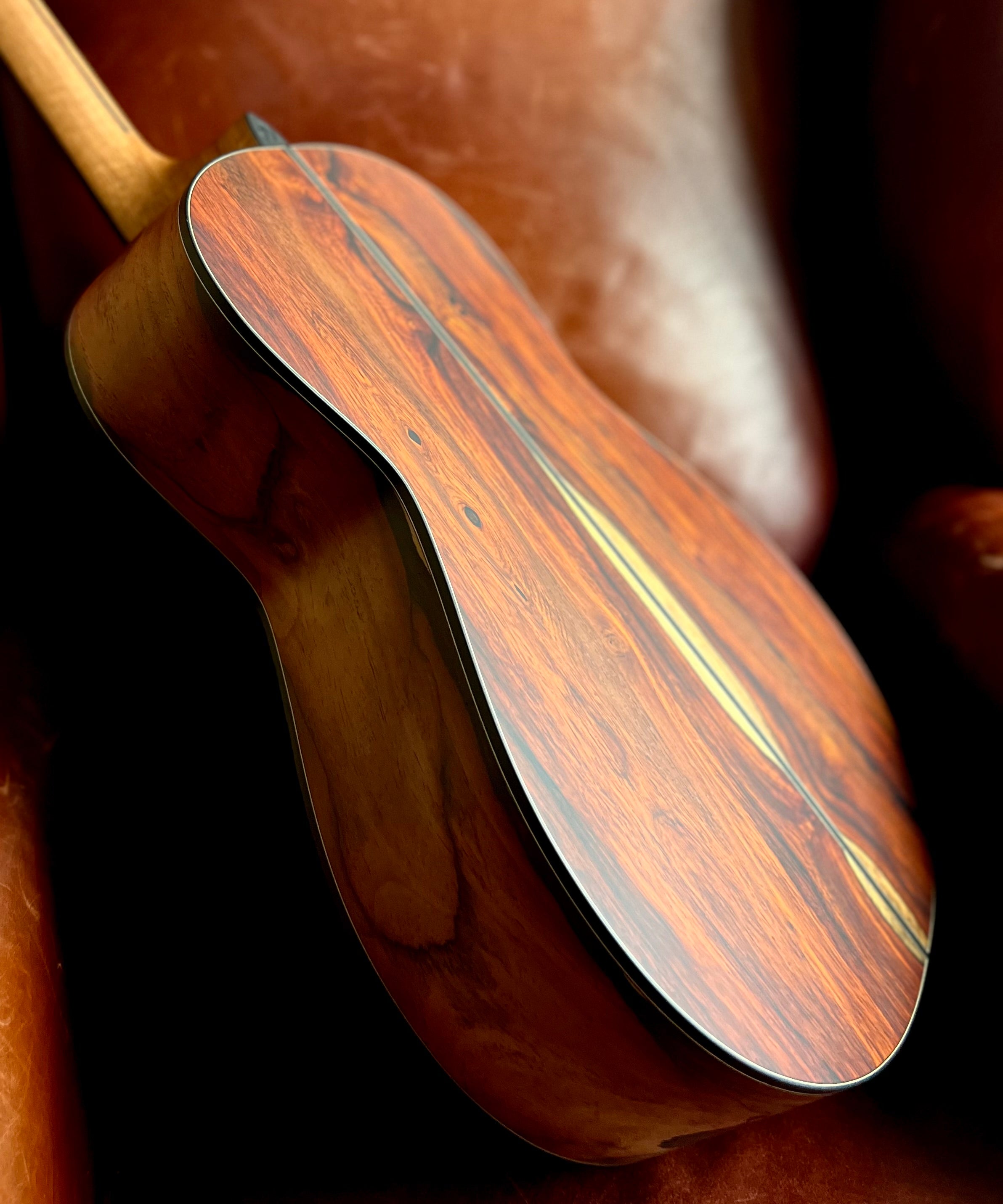 Dowina Masters Gallery Edition Cocobolo OMG, Acoustic Guitar for sale at Richards Guitars.