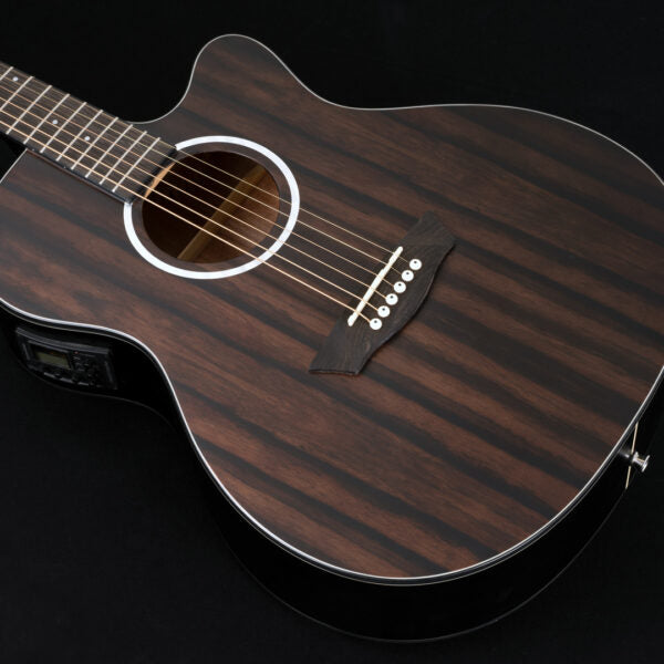 Washburn EBONY ACE - Grand Auditorium - Natural Matte Electro Acoustic Guitar