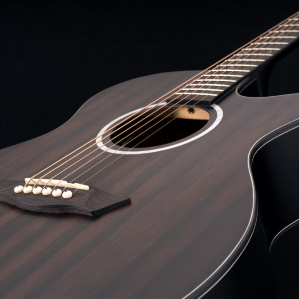 Washburn EBONY ACE - Grand Auditorium - Natural Matte Electro Acoustic Guitar