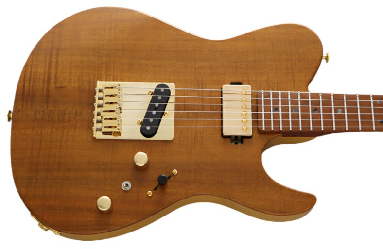 FGN Guitars Expert Iliad VNT Vintage Natural, Electric Guitar for sale at Richards Guitars.