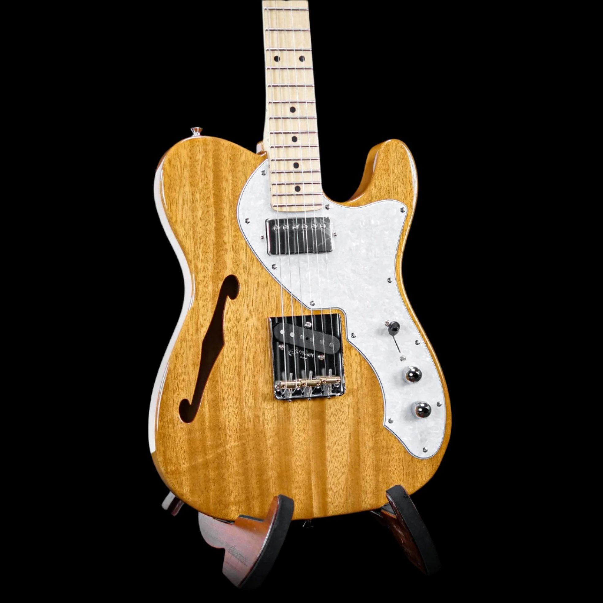 FGN Guitars Neoclassic TE 110M Mahogany Thinline Natural HS, Electric Guitar for sale at Richards Guitars.