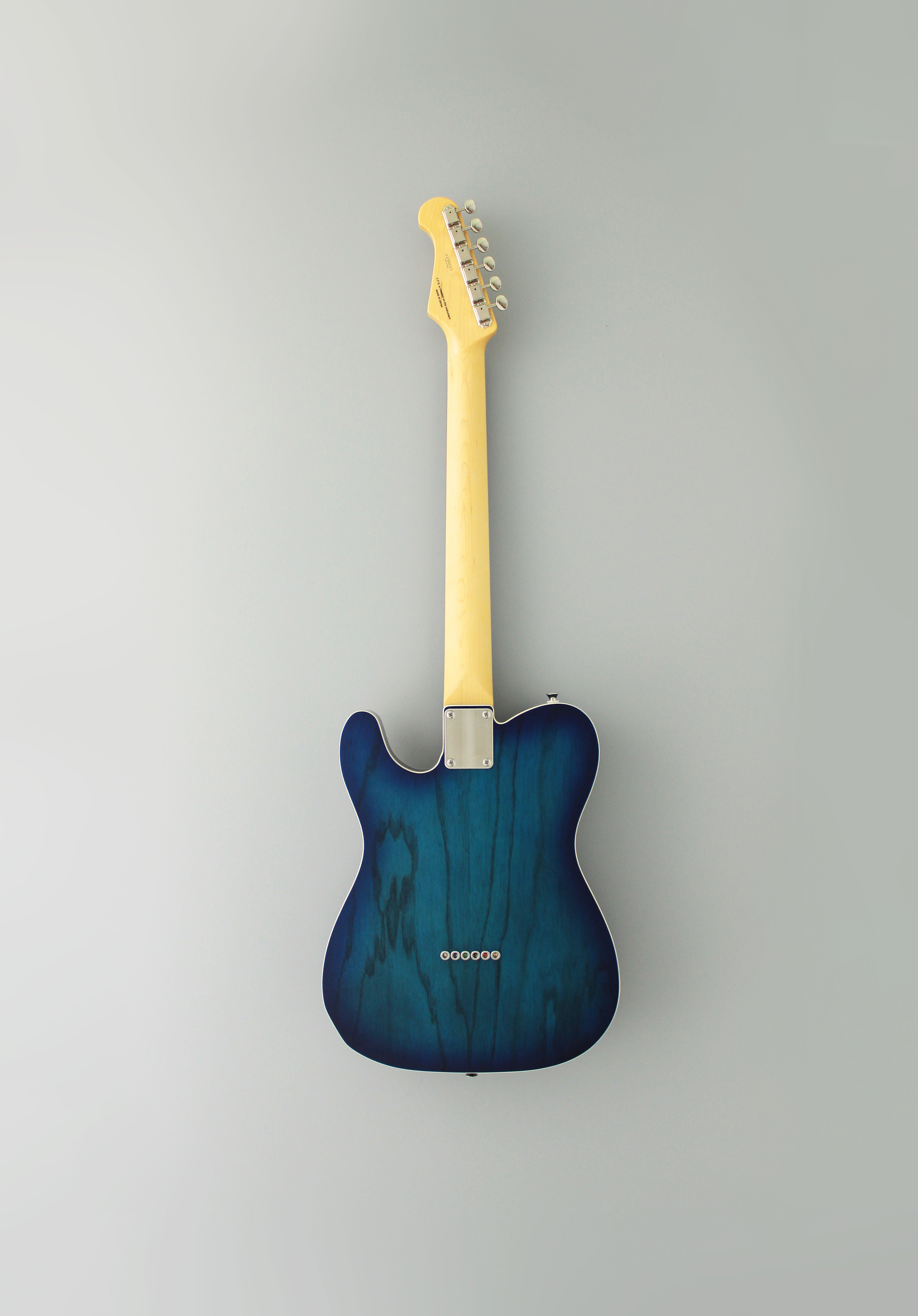 FGN Guitars Neoclassic TE 210R Ash HS See Thru Blueburst, Electric Guitar for sale at Richards Guitars.