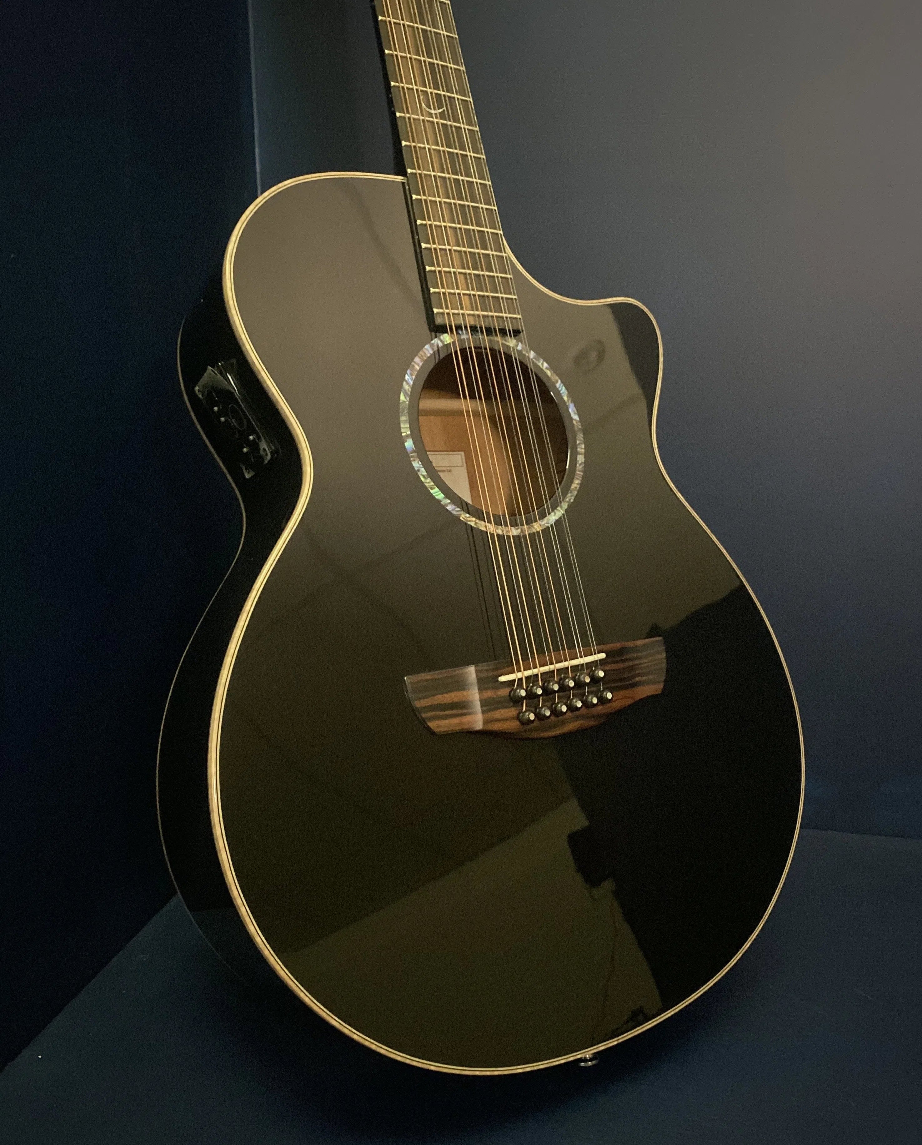 Faith FECV12 Electro Acoustic Guitar (Eclipse Venus12), Electro Acoustic Guitar for sale at Richards Guitars.