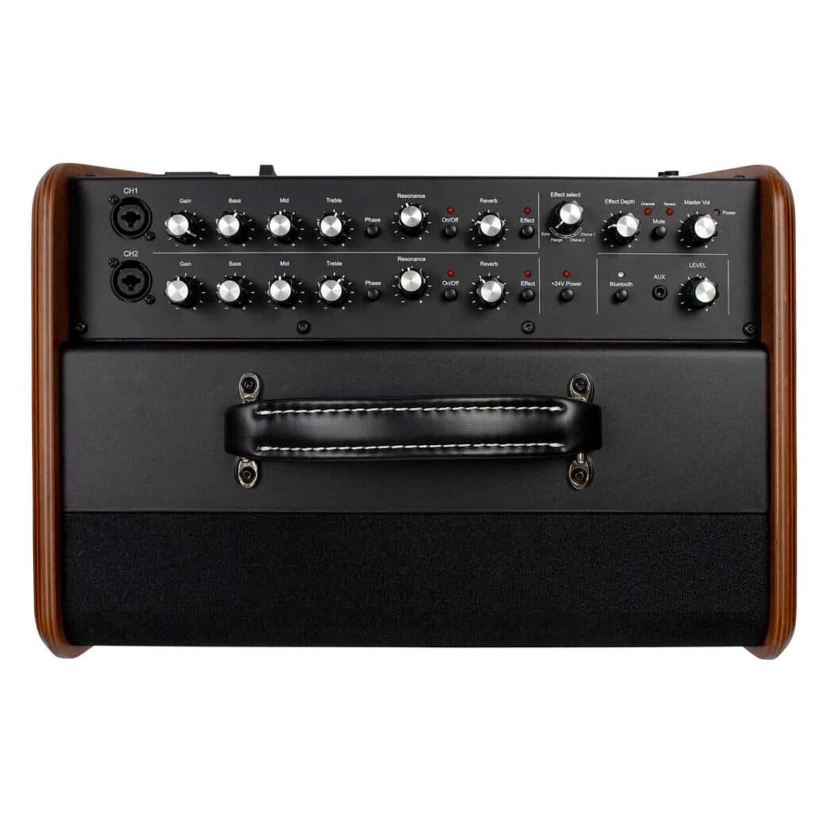 Godin Acoustic Solutions Guitar Amplifer ~ Natural, Acoustic Amps for sale at Richards Guitars.