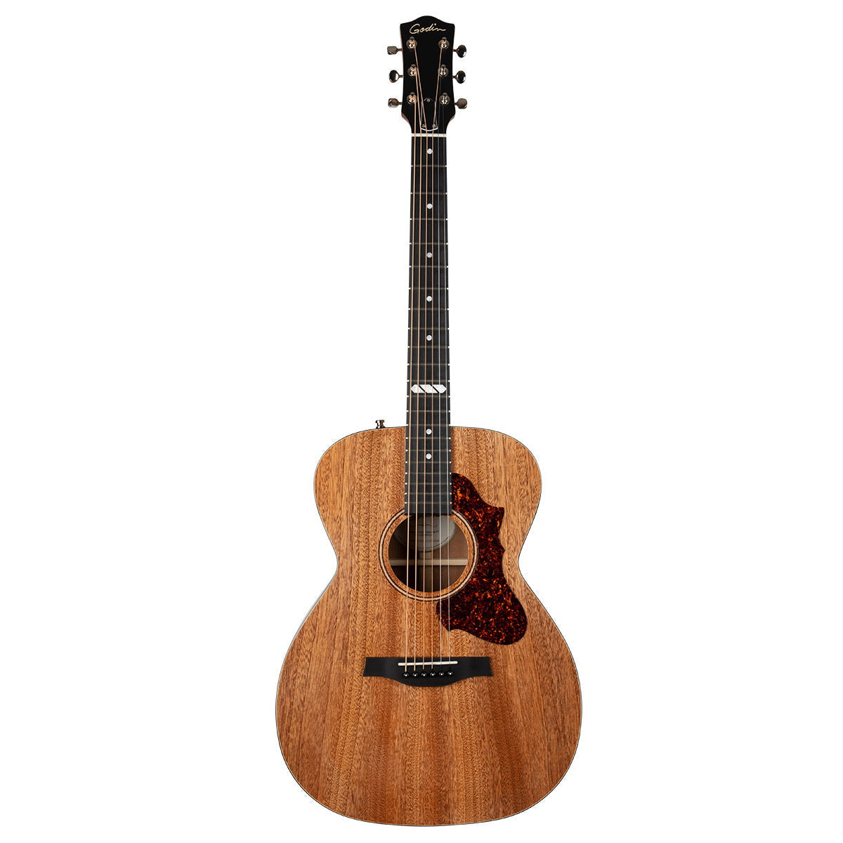 Godin Fairmount Composer Element Electro-Acoustic Guitar ~ Natural, Electro Acoustic Guitar for sale at Richards Guitars.