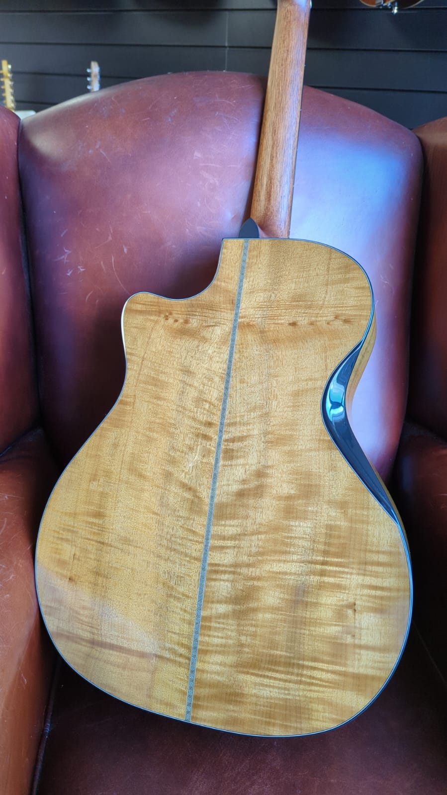 Cort Gold Edge in Natural (Used), Electro Acoustic Guitar for sale at Richards Guitars.