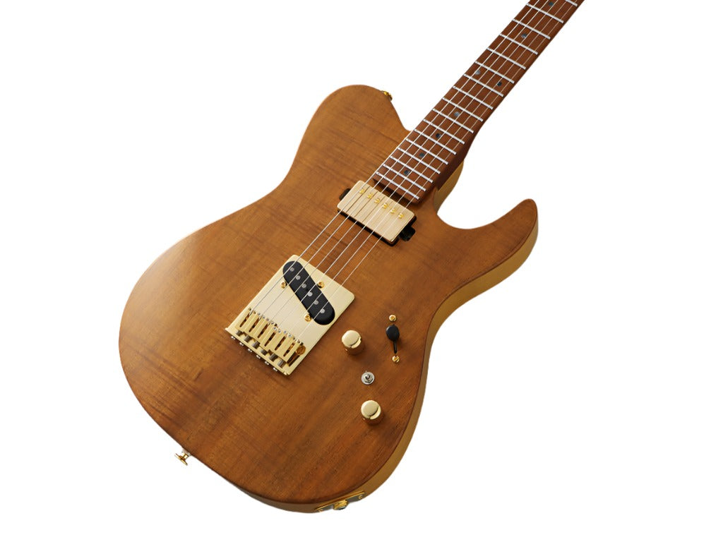 FGN Guitars Expert Iliad VNT Vintage Natural, Electric Guitar for sale at Richards Guitars.