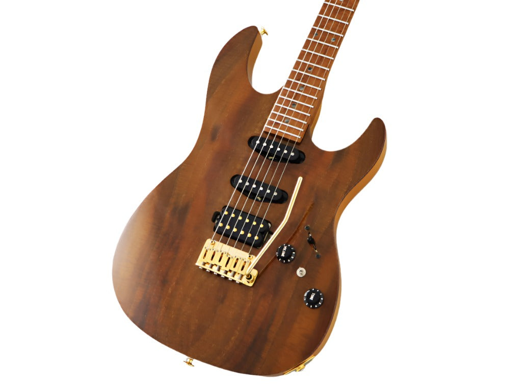 FGN Guitars Expert Odyssey VNT Vintage Natural, Electric Guitar for sale at Richards Guitars.