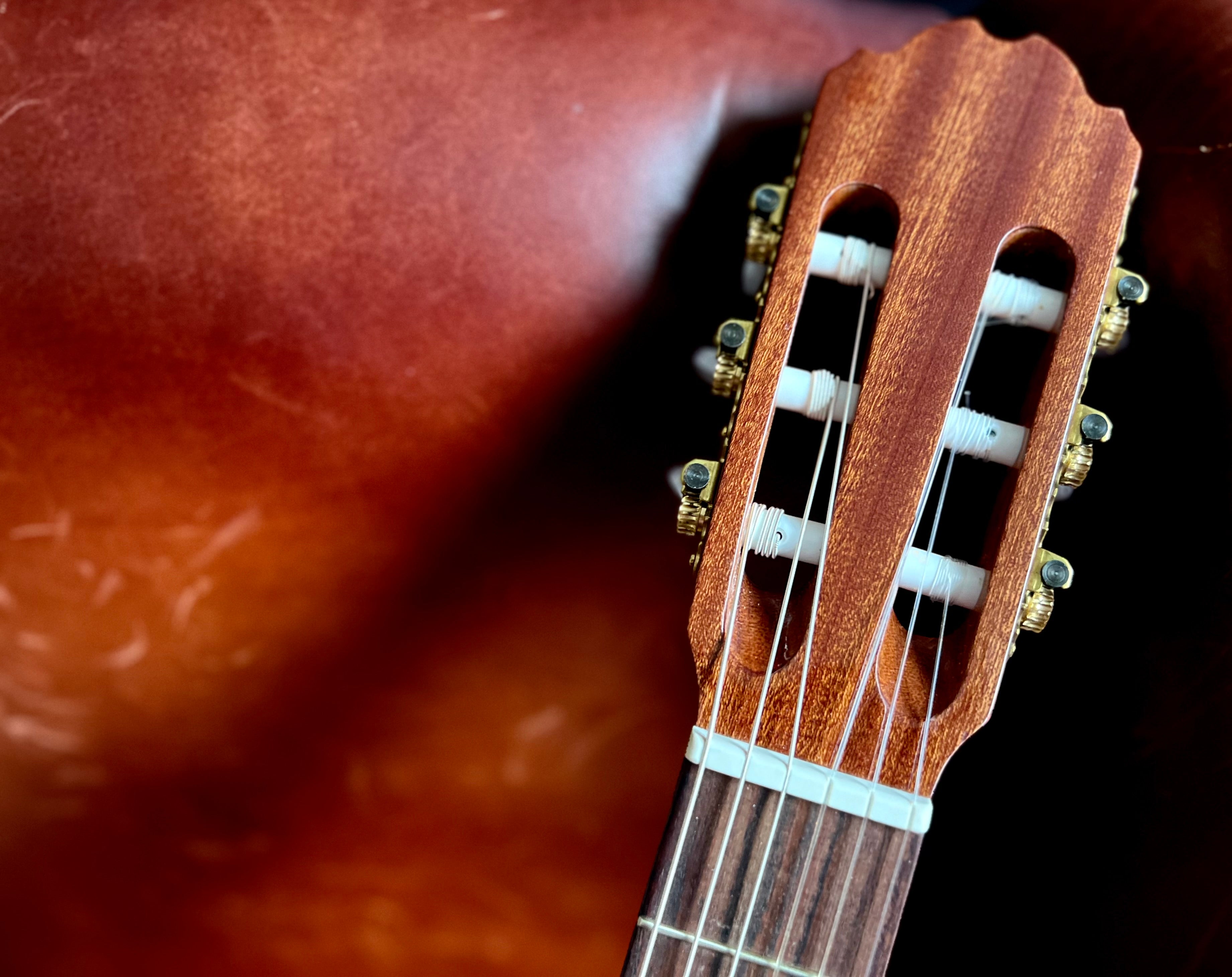 Kremona S65C, Solid Red Cedar, Sapelli Veneer, Electro Nylon Strung Guitar for sale at Richards Guitars.