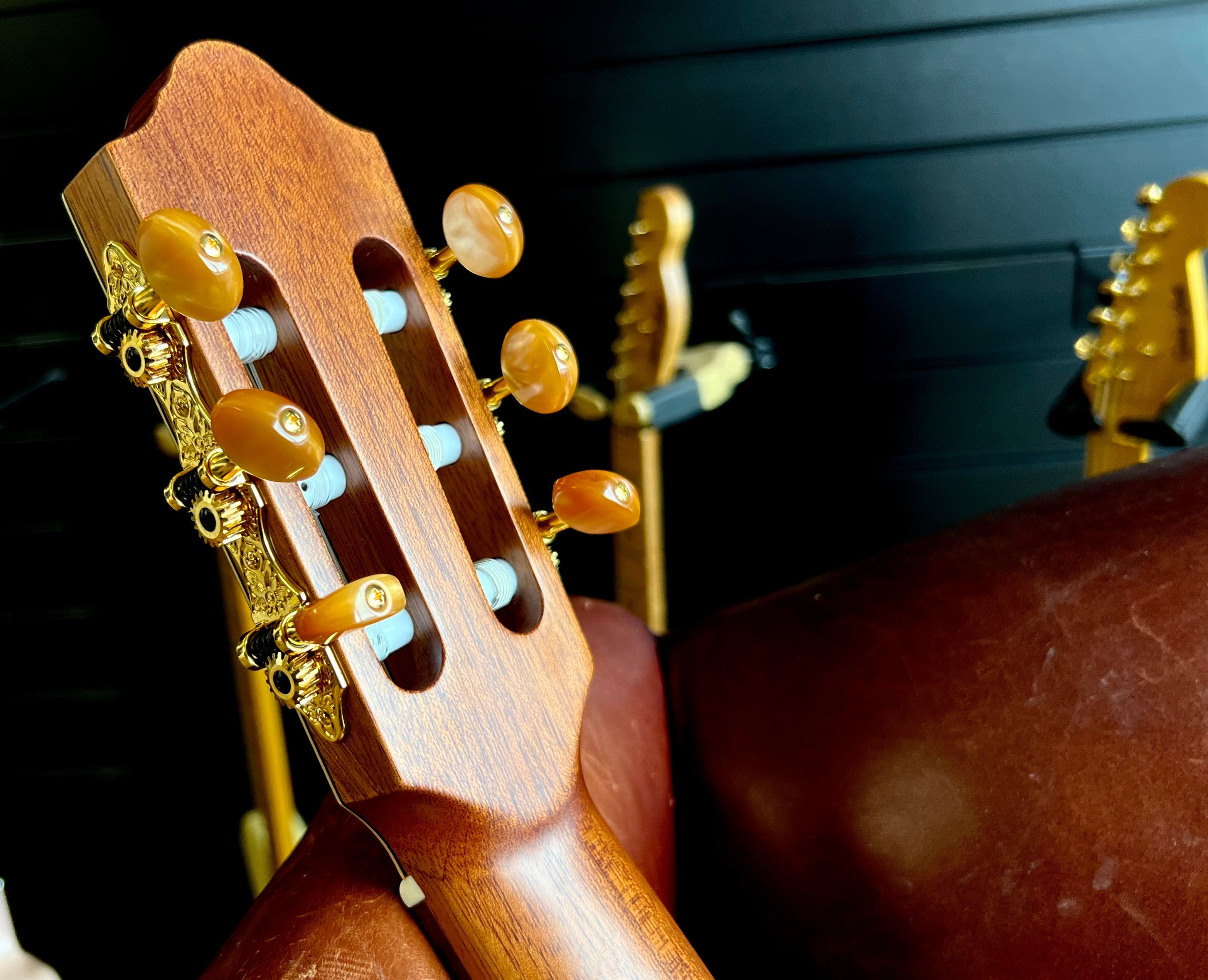 Kremona SOFIA SC Solid Red Cedar, Solid Sapelli, Nylon Strung Guitar for sale at Richards Guitars.