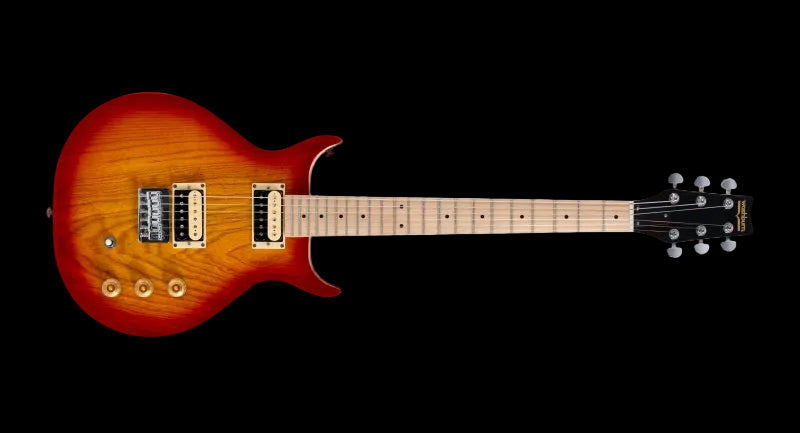 Washburn Raven Electric Guitar Inc £225 Custom Pro Setup & Support Package