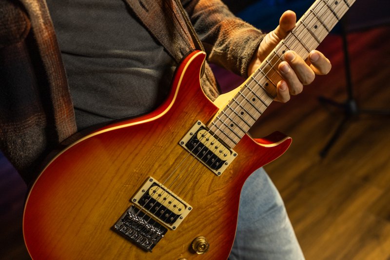 Washburn Raven Electric Guitar Inc £225 Custom Pro Setup & Support Package