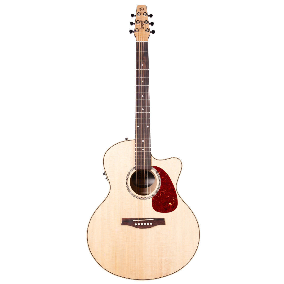 Seagull Performer C/A Mini Jumbo Electro-Acoustic Guitar ~ HG ~ PreSys II with Bag, Electro Acoustic Guitar for sale at Richards Guitars.