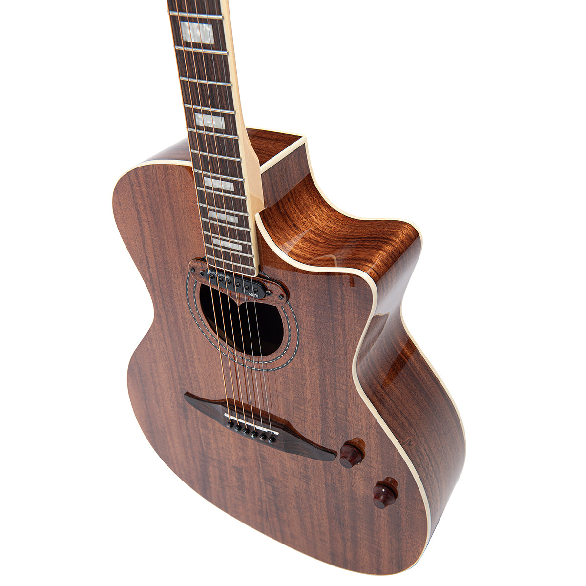 Vintage REVO ELEKTRA ~ Acacia Silk, Electro Acoustic Guitar for sale at Richards Guitars.