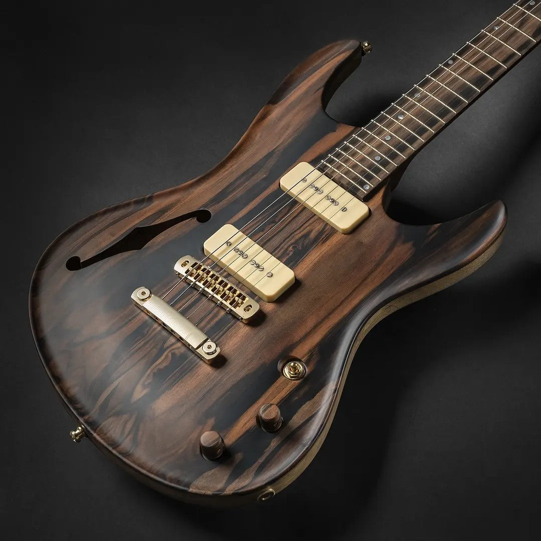 Valenti Carved Semi Hollow Nebula Solid Figured Ebony, Electric Guitar for sale at Richards Guitars.