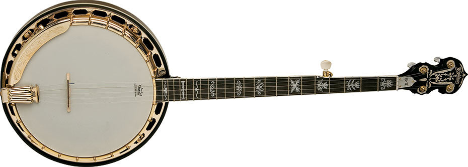 Washburn B17 Banjo Banjo, Banjo for sale at Richards Guitars.